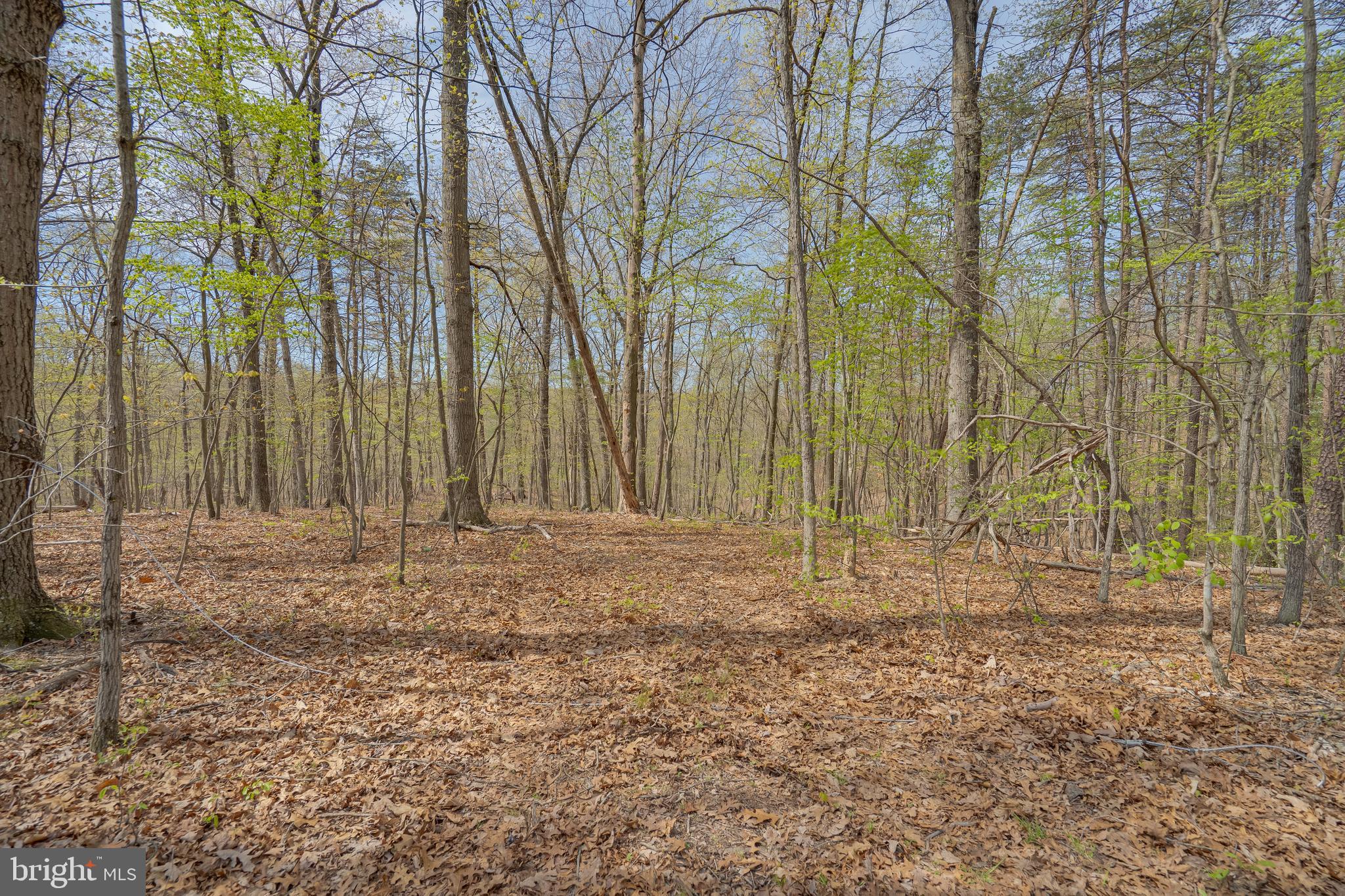 Beautiful, quiet lot located off of Panther Lane. Previous owner had perc test completed for well and 3br septic.