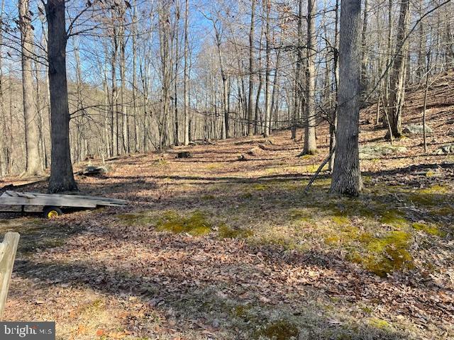 LOST RIVER BLUFFS - Land