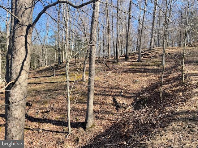 LOST RIVER BLUFFS - Land