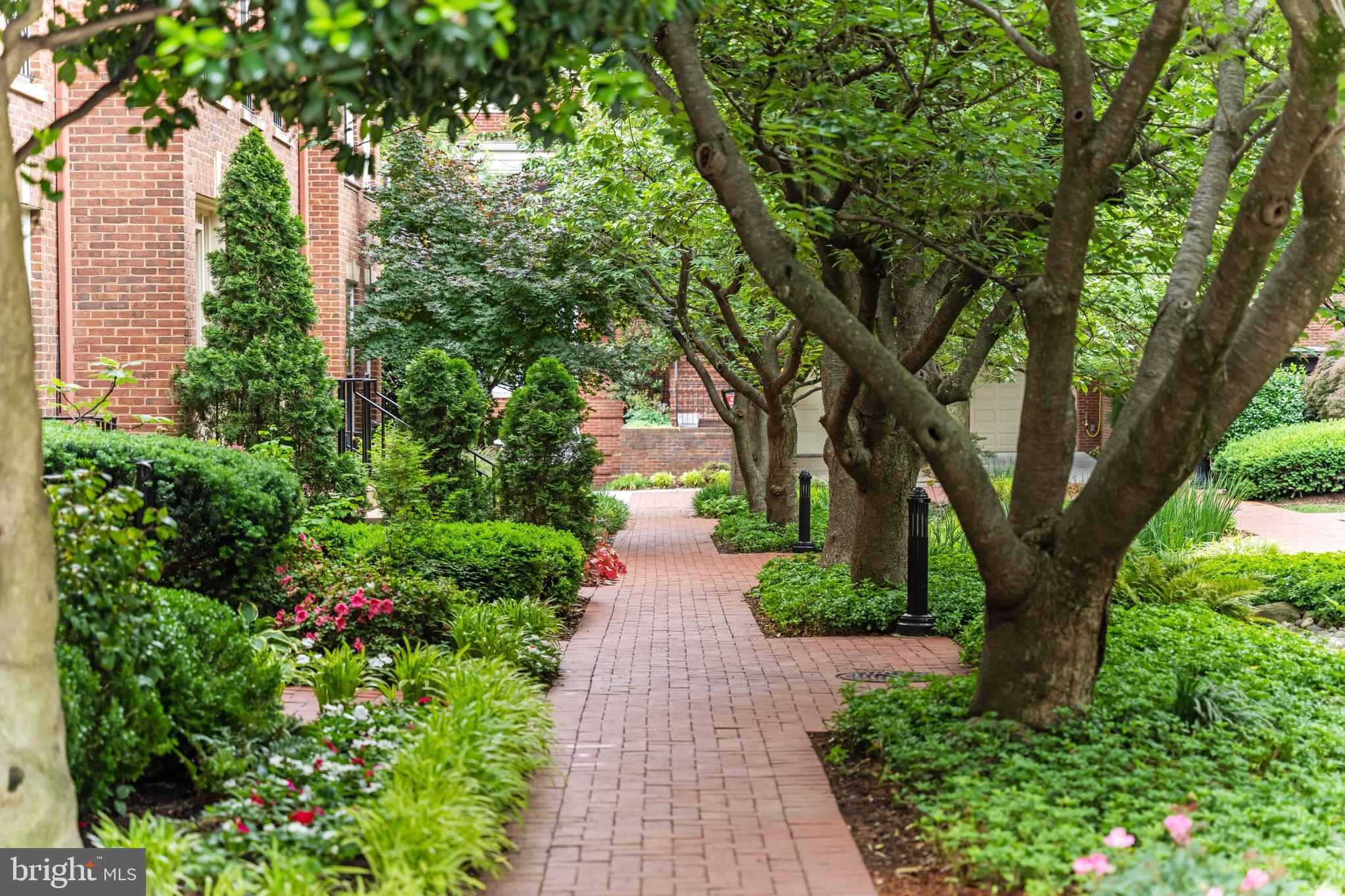 GEORGETOWN - Residential
