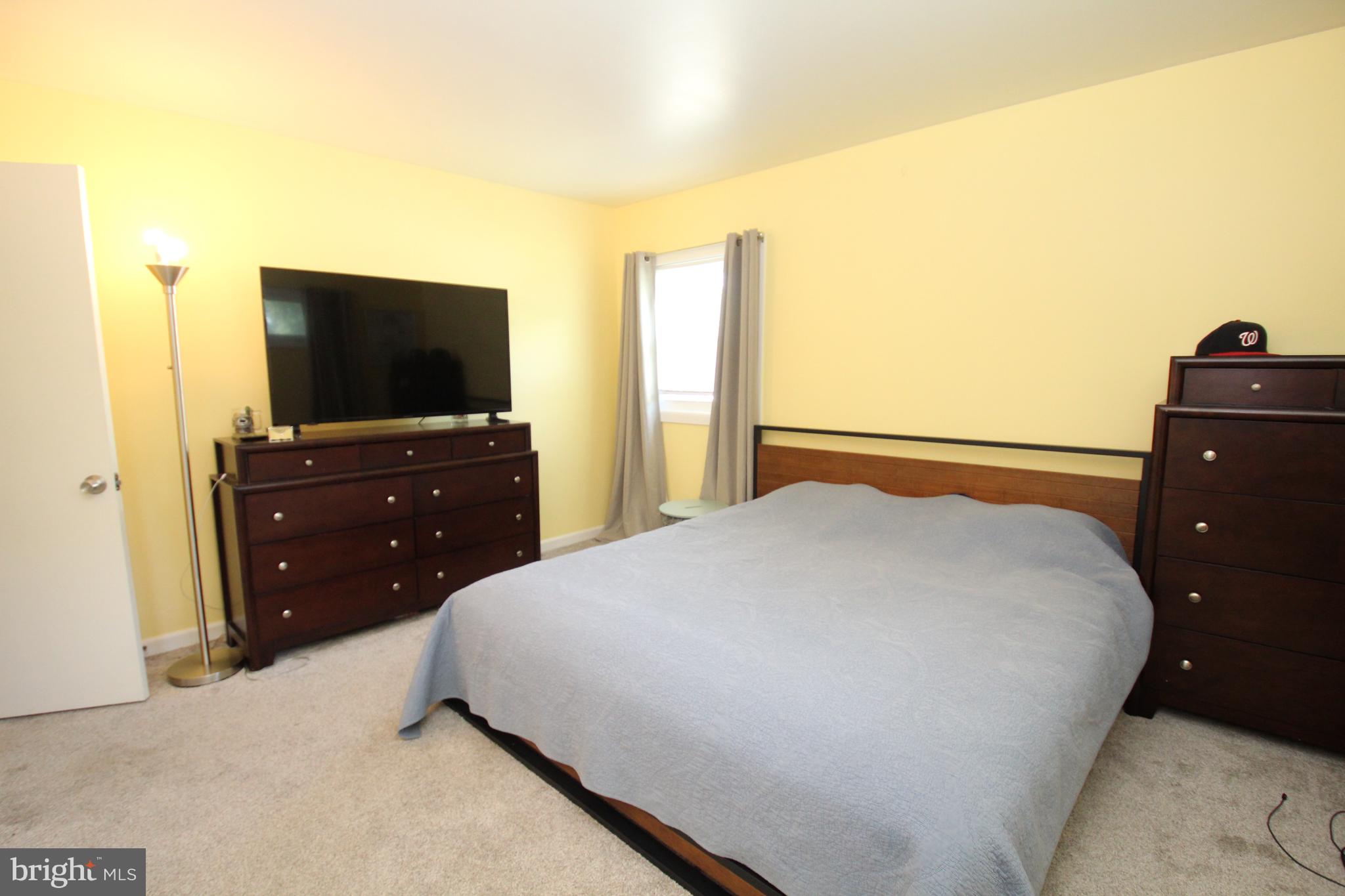 CHESTNUT HILL ESTATES - Residential