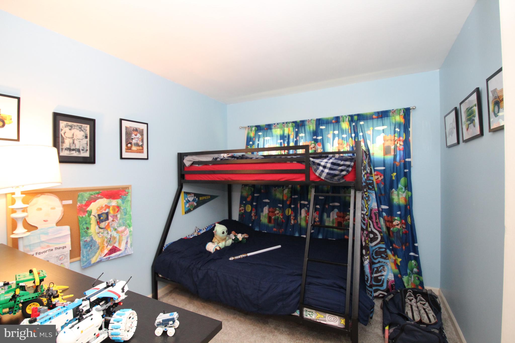 CHESTNUT HILL ESTATES - Residential