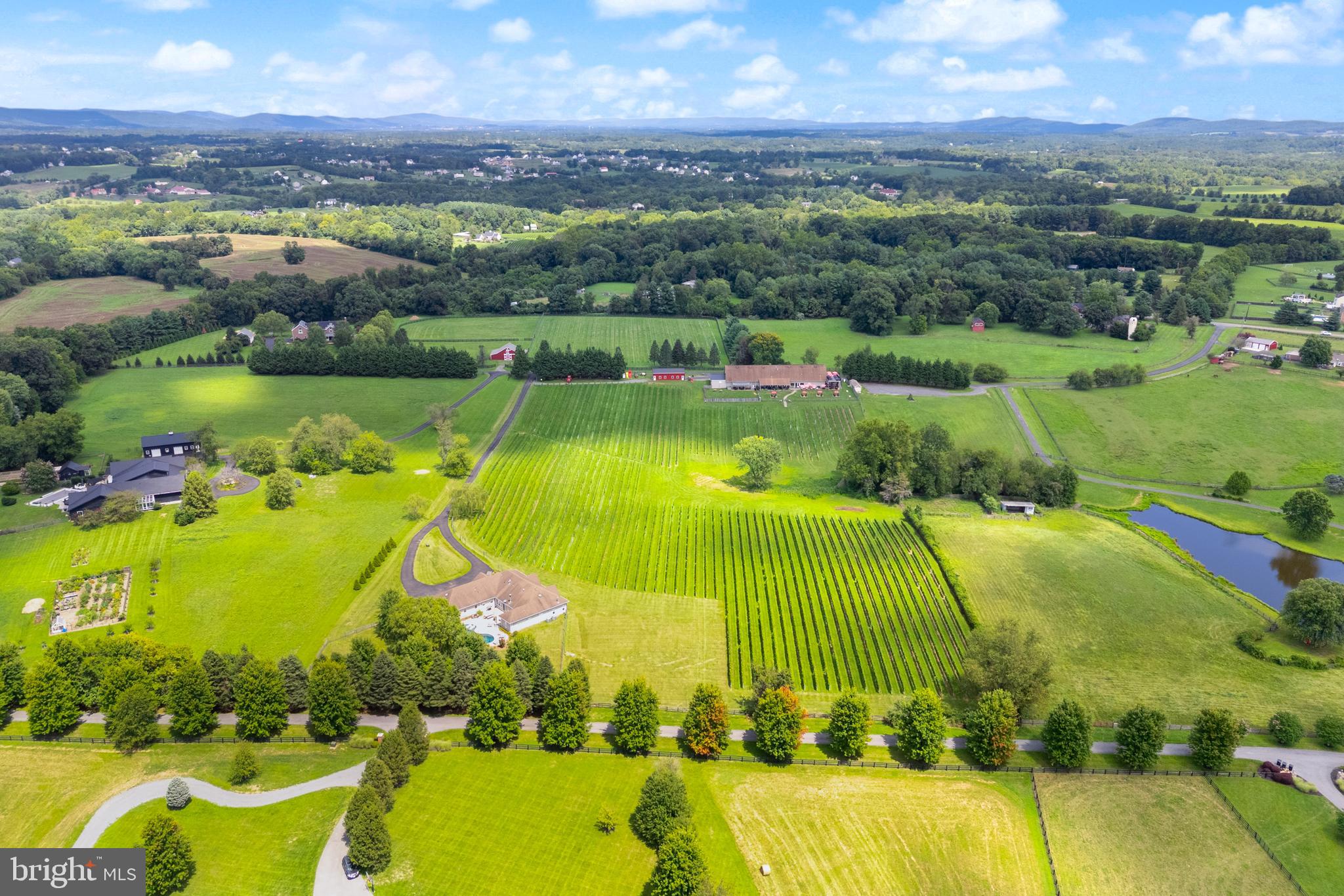 We’re pleased to offer a rare opportunity to acquire 8 Chains North, a high-performing, turnkey estate vineyard, winery, and brewery in the highly desirable Waterford Winery Cluster of Loudoun County. This dual-licensed agritourism operation, celebrated for its outstanding, hospitality-forward visitor experience and strong brand recognition, is located within the Middleburg, VA American Viticultural Area (AVA) and is just one hour from Washington, DC. The sale encompasses the entire operation: the real property, the thriving business, comprehensive equipment, furniture, fixtures, and a substantial wine inventory. The business is well-positioned for immediate operational stability, offering significant potential for growth through expanded events, hospitality programming, or short-term rentals.

The Winery is a dual-licensed facility, permitting both Farm Winery and Limited Brewery uses, which allows for the production and sale of wine, beer, cider, and mead. The property includes 7.5 owned acres under vine, planted with varietals like Albariño, Cabernet Franc, Petit Verdot, Sauvignon Blanc, and Syrah, complemented by an additional 10.5 leased acres nearby, totaling approximately 18 acres in production. Current production is supported by a nearly 2,400 SF space in the main Winery building, a 1,080 SF covered crush pad, and a separate, climate-controlled 1,200 SF bond and storage barn. Annual production capability exceeds 5,000 cases. Critically, approximately two years of award-winning wine inventory convey with the sale, including over 4,000 cases of bottled wine and bulk wine equivalent to an additional 3,000 cases. This massive inventory secures immediate, uninterrupted revenue for the new owner, particularly important following the severe April 2026 freeze that impacted many of Virginia's vineyards.
The hospitality side features a welcoming, recently updated  2,200 SF Tasting Room with a newly installed 50-foot tasting bar, multiple lounge areas, and a rustic stone fireplace. The venue is equipped with two fully serviceable private event spaces suitable for events up to 130 and 40, respectively. The guest experience is enhanced by abundant outdoor seating across multiple patio areas, permanent fire-pit areas, and a unique, fully fenced off-leash dog park.

The residential estate is a custom-built, nearly 4,000-square-foot contemporary ranch, built in 2003 and fully updated in 2022, offering an ideal primary residence or high-value short-term rental opportunity. The chef’s dream gourmet kitchen is defined by a massive Calcutta Gold quartz island, a professional Fulgor Milano six-burner range, and premium Bosch appliances. Outdoors, the private, resort-caliber oasis features a custom 27,000-gallon architectural saltwater pool and a seamlessly integrated year-round hot tub. The owners are willing to consider a post-sale consulting role to ensure a smooth transition of the business, production, and operations.

8 Chains North is more than a farm—it is a carefully crafted business and lifestyle asset, positioned for its new owner to take the reins and build on its strong foundation.

SELLER IS NOT RESPONSIBLE FOR ROLLBACK TAXES. Prospective buyers must sign a Non-Disclosure Agreement and provide Proof of Funds prior to receiving financial information or scheduling a showing. All showings are by appointment only and must be accompanied by the Listing Agents.