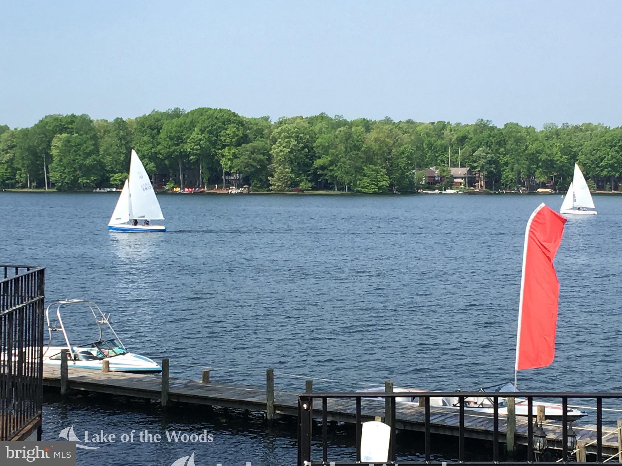LAKE OF THE WOODS - Land