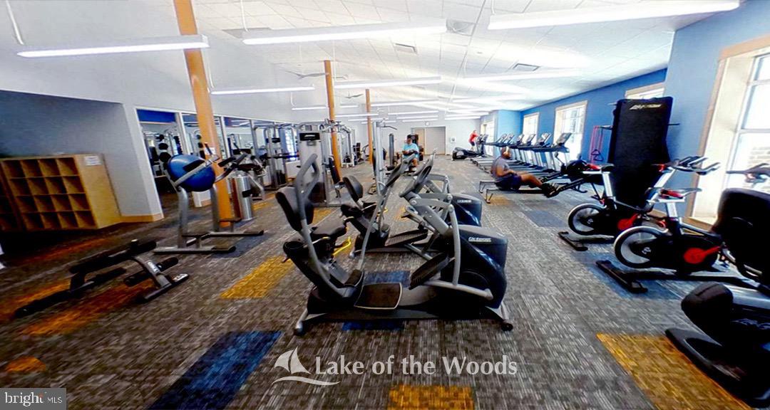 LAKE OF THE WOODS - Land