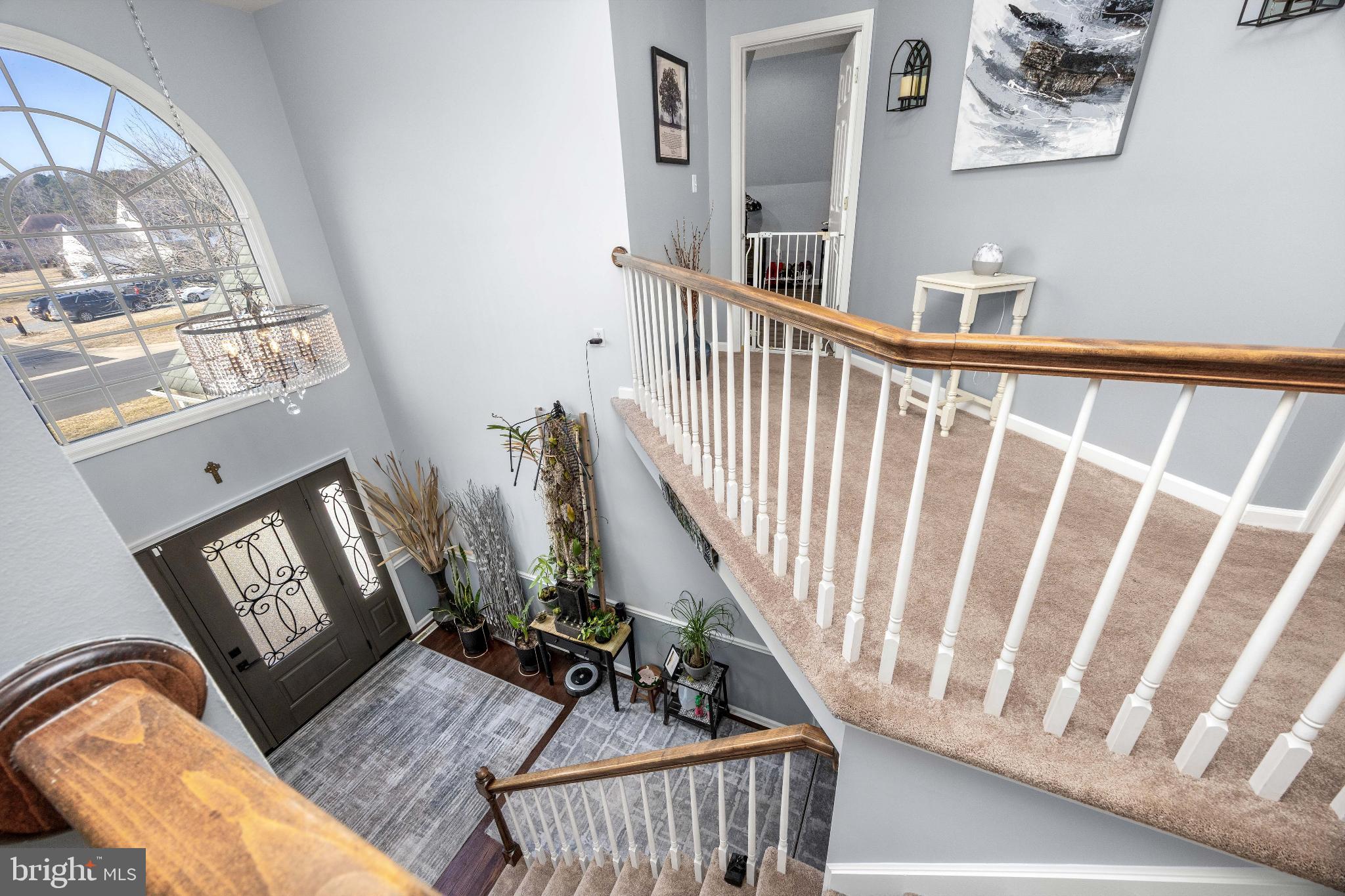 STEEPLECHASE - Residential