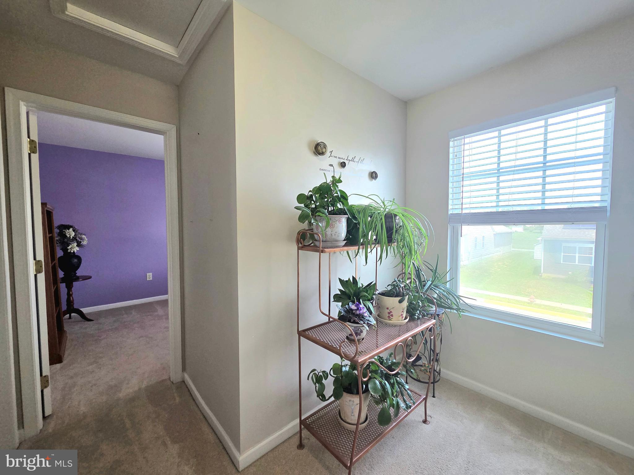 CASTLETON - Residential