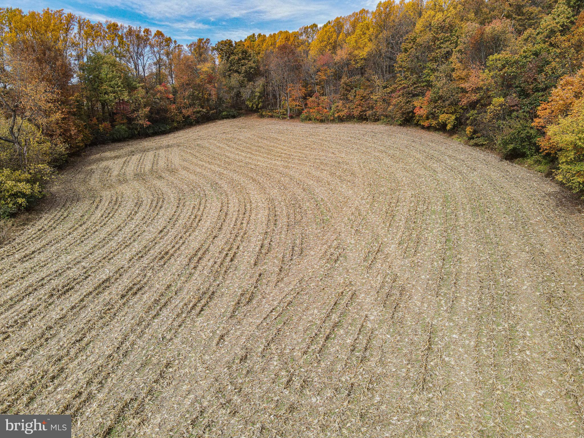 SHREWSBURY TWP - Residential
