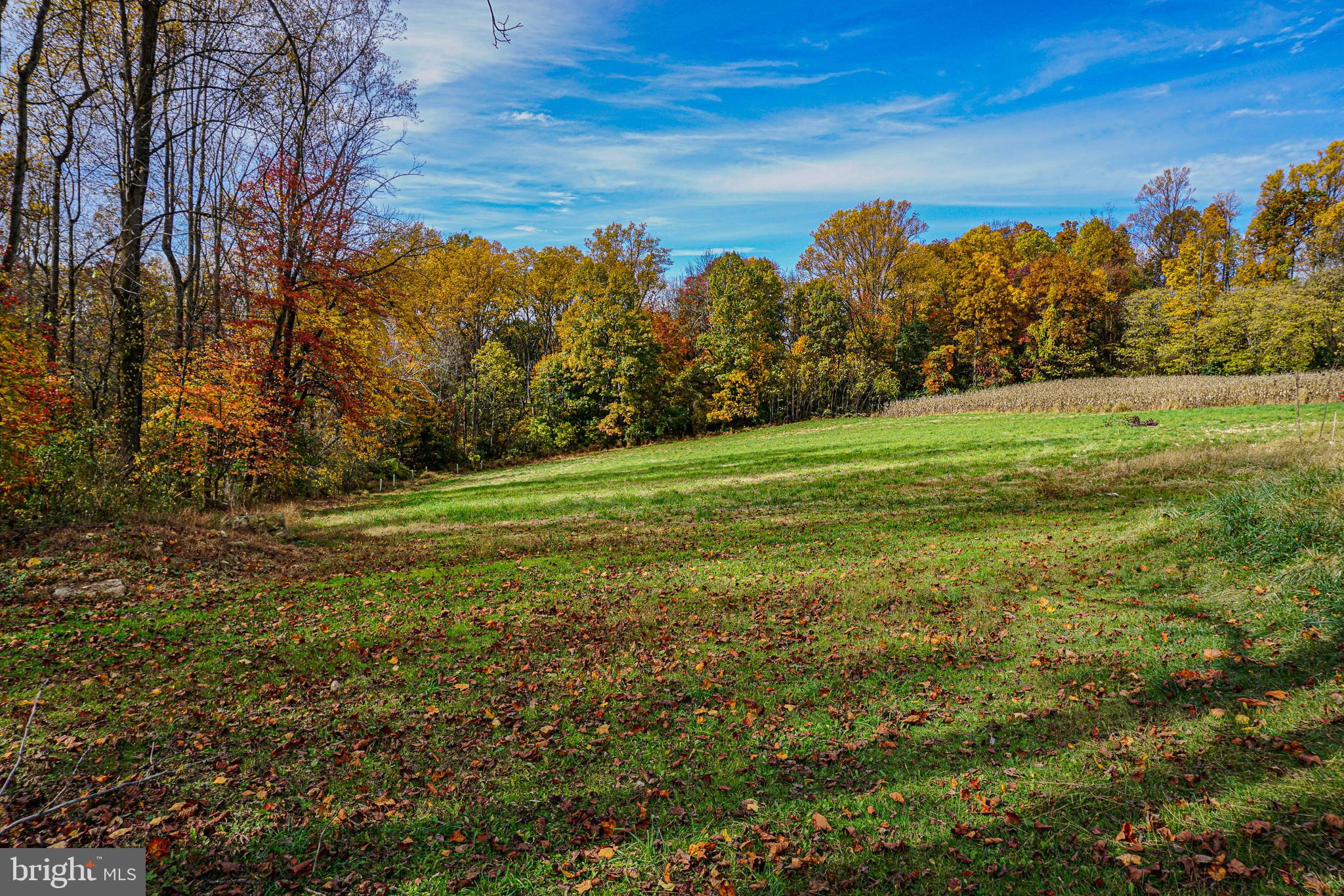 SHREWSBURY TWP - Residential