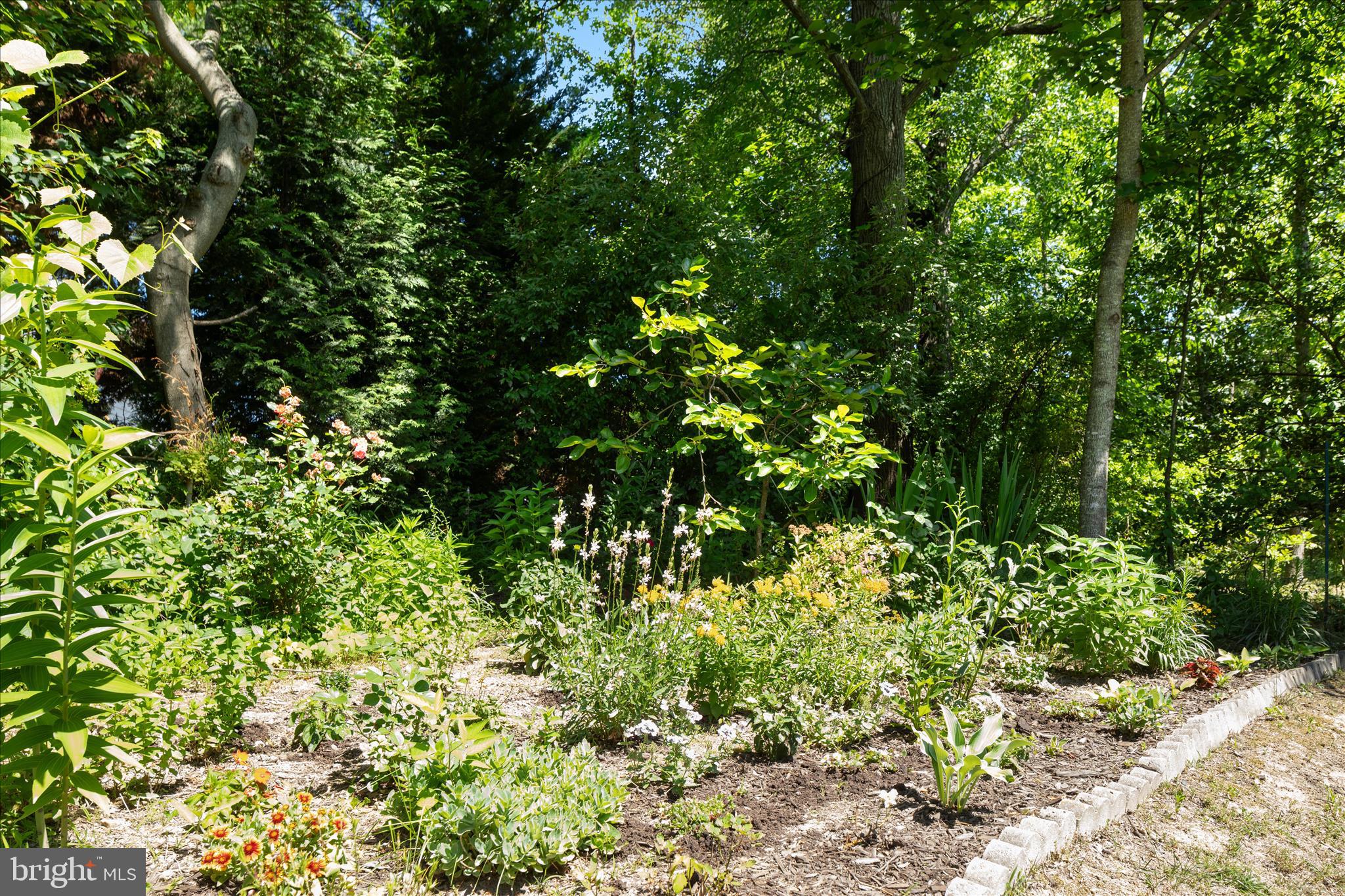 LAUREL OVERLOOK - Residential