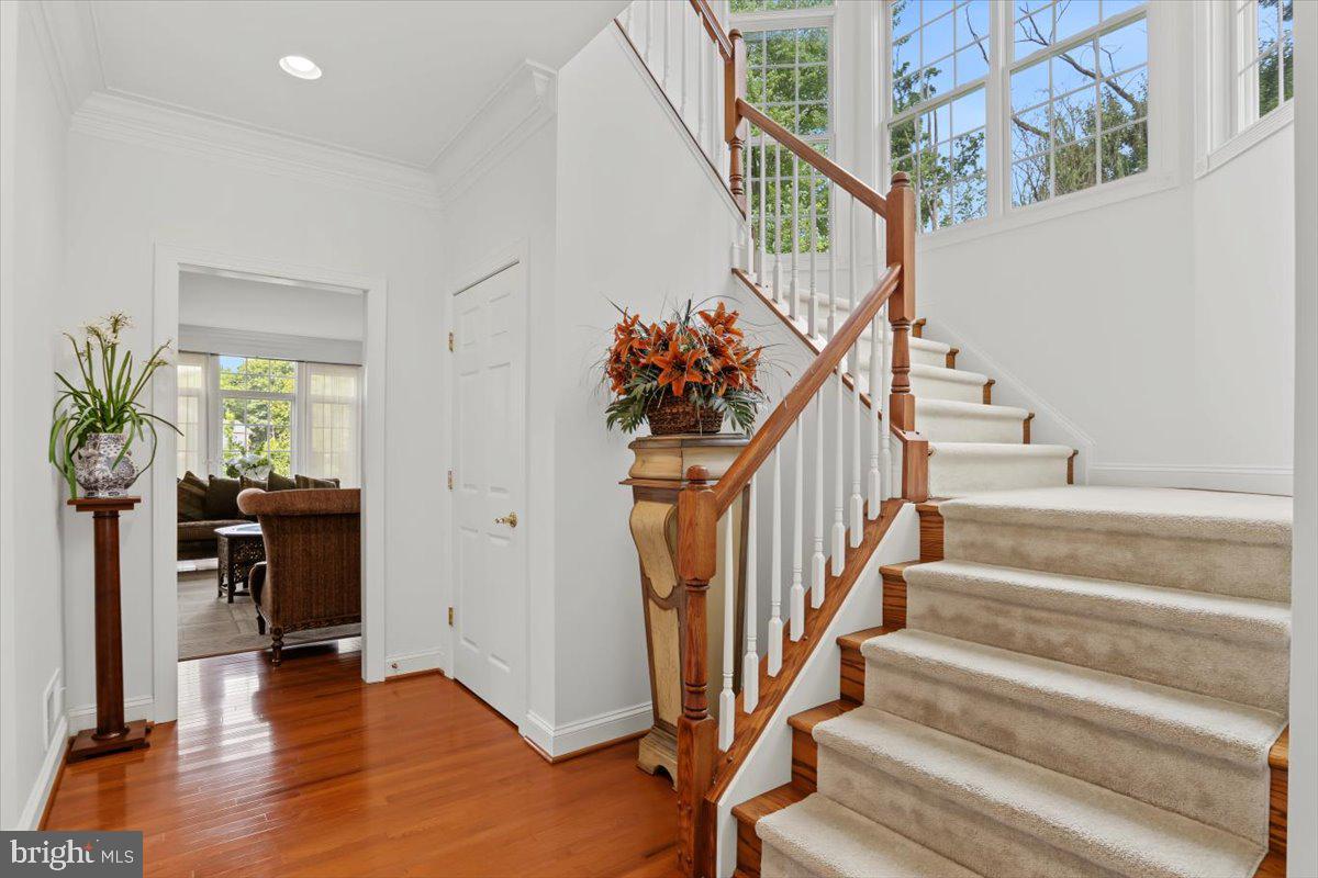 LAUREL OVERLOOK - Residential