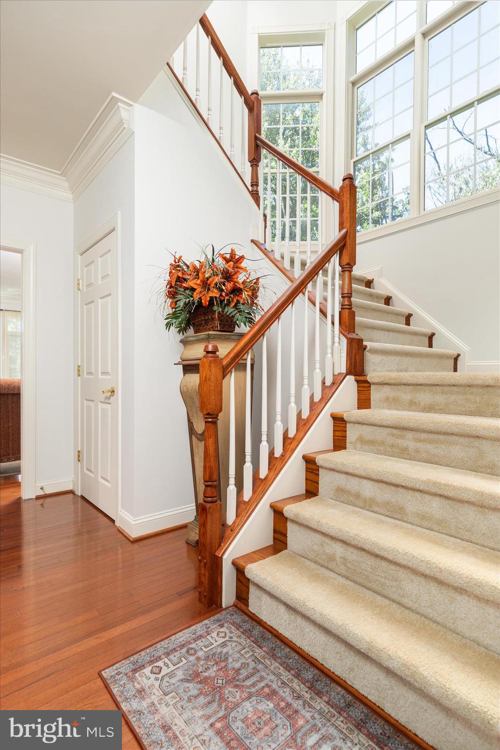 LAUREL OVERLOOK - Residential