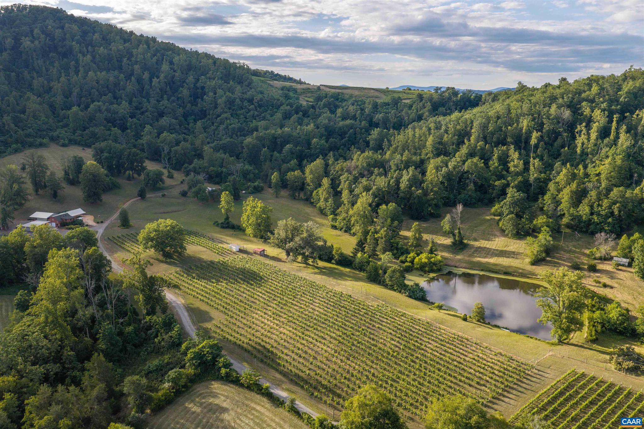 In the heart of the Monticello Wine Trail in Southern Albemarle County, this exceptional 206 acre property offers endless possibilities and multiple building sites capturing MOUNTAIN VIEWS in every direction! Formerly home to Wisdom Oak Winery, approximately 5.5 acres of established vineyards feature an array of varietals. Continue the use of this established winery or cultivate it into your own private retreat or legacy estate. The tasting room served as the heart of the property with covered outdoor pavillion. A custom designed, two-story production and storage facility has capacity to hold up to 125 barrels and 2,500 cases of wine. Additional outbuildings include a quaint metal-roofed cabin, storage barn and rustic caretakers cottage dating back to the early 1900s.  Enjoy fishing on the 1.5 acre pond and exploring the mountain trails.  Four parcels make up the 206 acre property.  A private driveway leading to the property provides pure privacy off the beaten path yet only 10 miles to shopping, grocery, restaurants, coffee and more. Natural beauty combined with history and an unforgettable setting makes this property truly one of a kind.