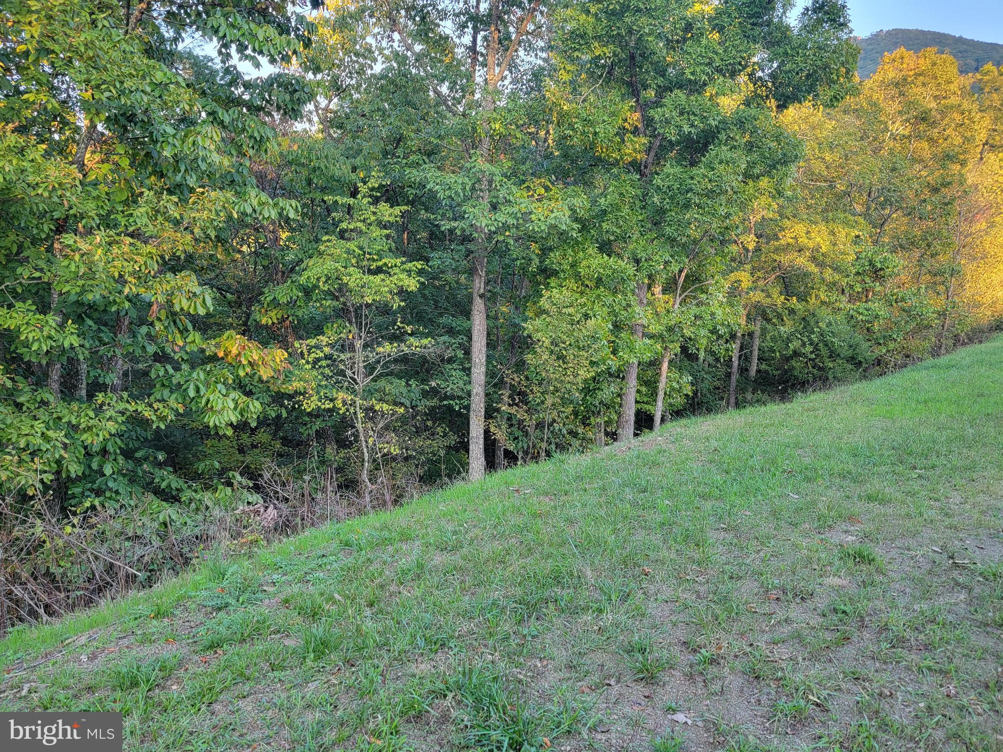 POTOMAC VALLEY OVERLOOK - Land