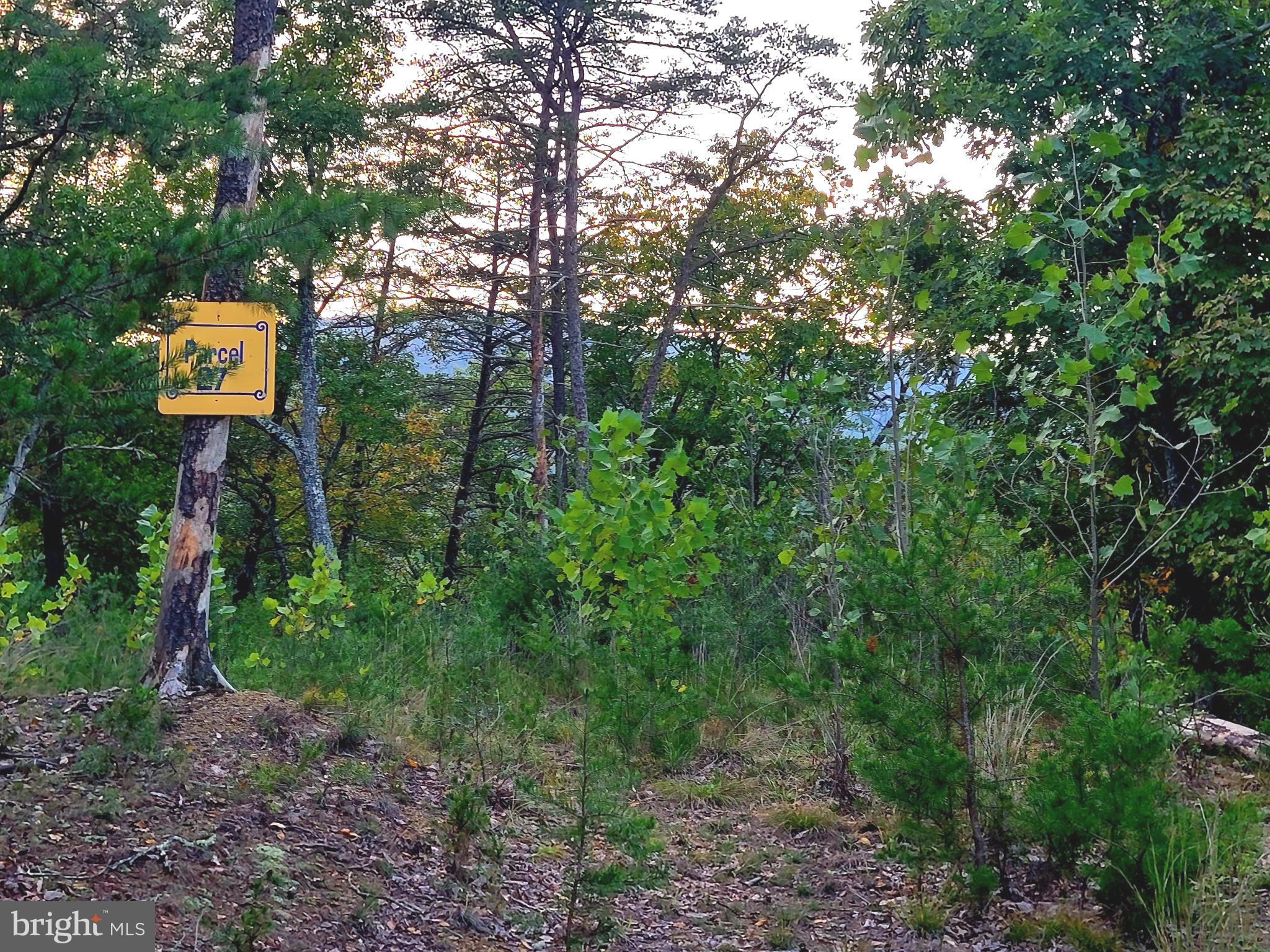 PRICED TO SELL! Call today to see this lot with a little over 8 acres located in the beautiful mountains of Milam, West Virginia. Being a lot owner in the gated Potomac Valley Overlook allows you access to community amenities such as a 4 acres park area that has a pavilion with a kitchen and restrooms. If you love exploring the outdoors beyond your own 8 acre backyard, the location is amazing. Drive in any direction and in less than a hour and half you will find an outdoor adventure tourist hot spot. You are centrally located to Spruce Knob, Bryce Mountain, Lost River State Park, and Seneca Rocks to name just a few and close by is the George Washington National Forest. Come build that dream get-away or forever home!