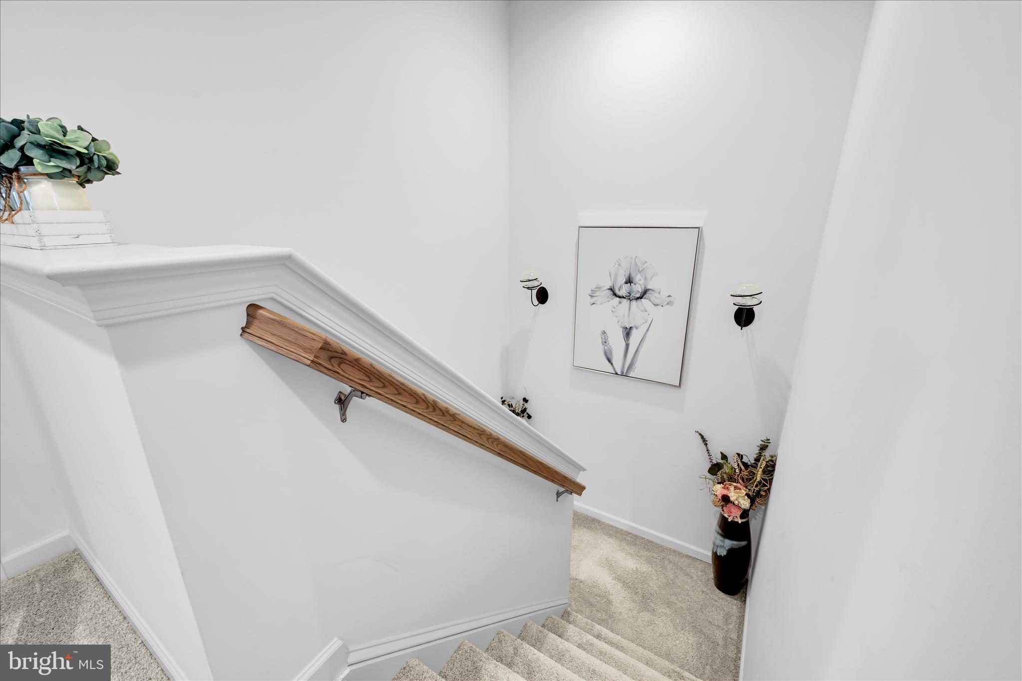 MAYAPPLE WOODS - Residential
