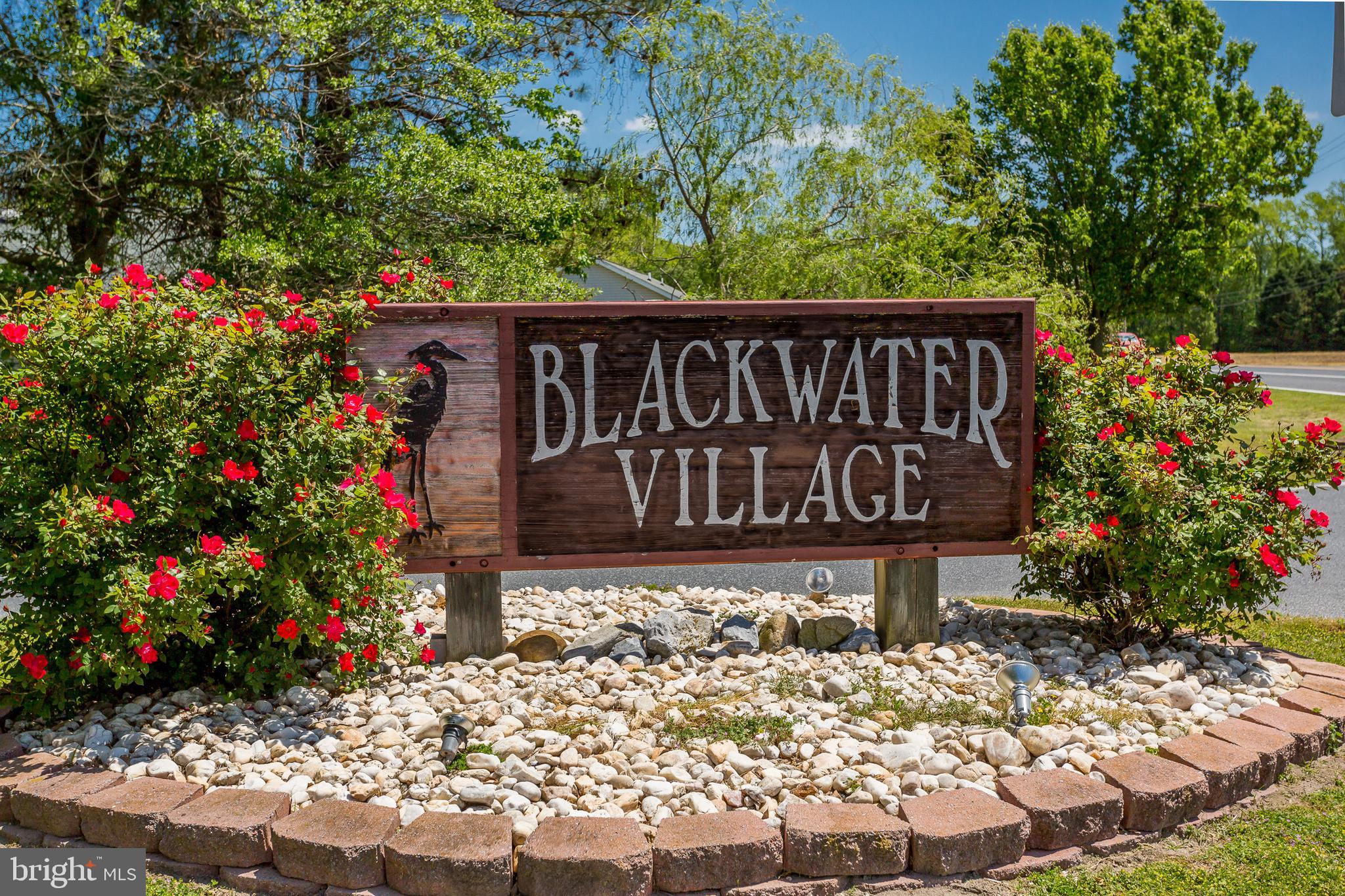 BLACKWATER VILLAGE - Residential