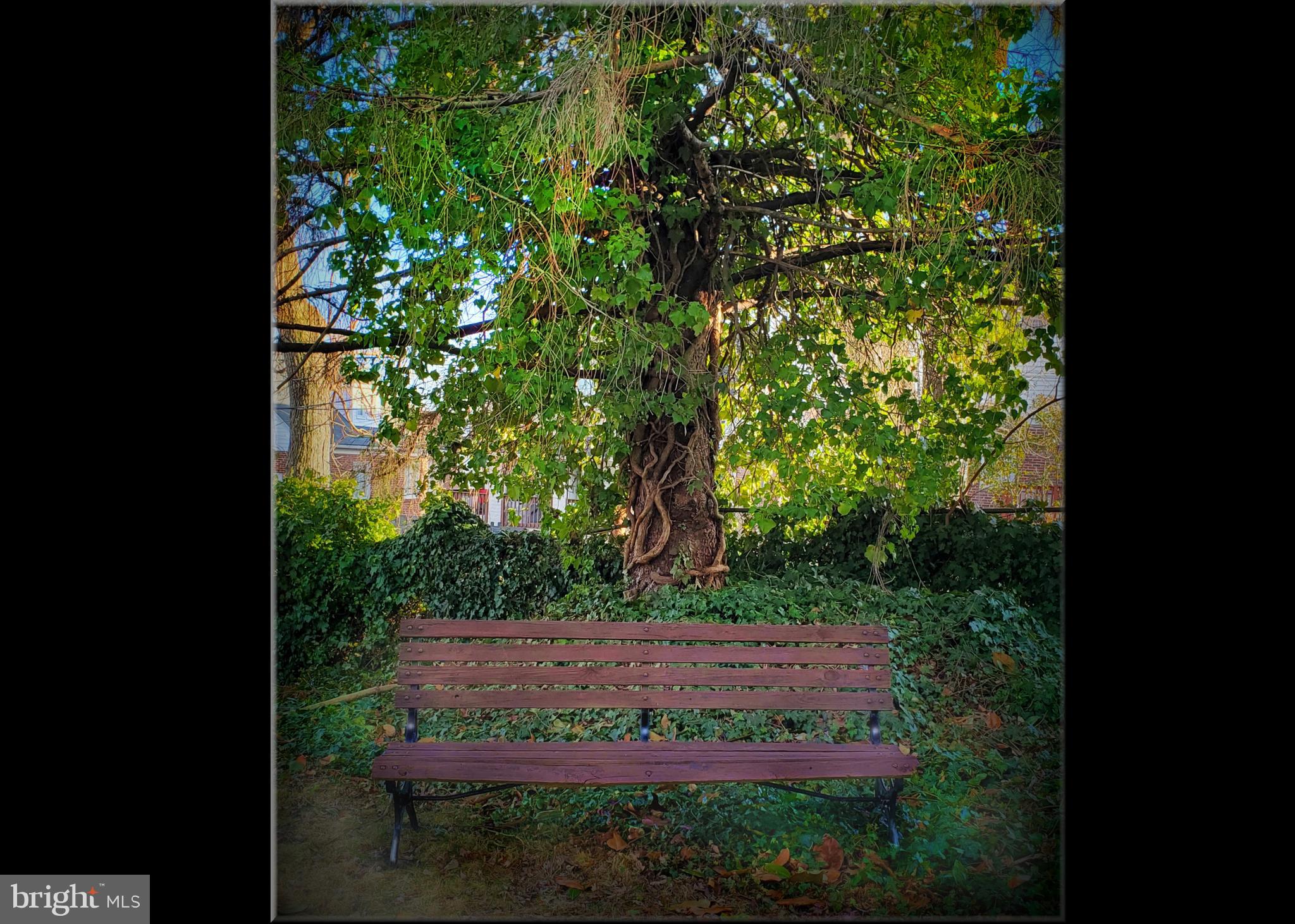 GARDENVILLE - Residential Income