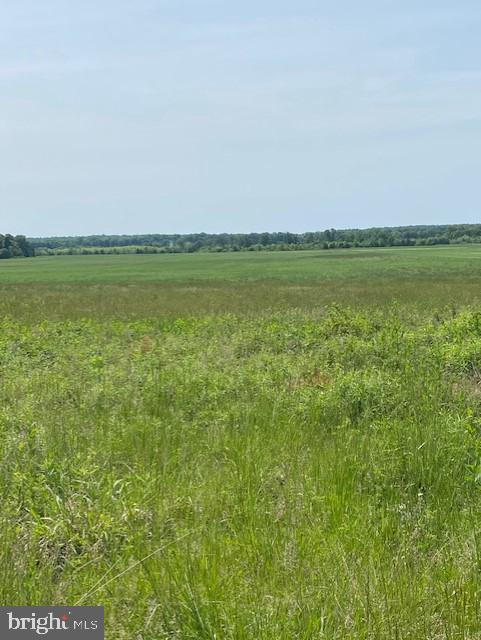 This first time offering holds 2 parcels with almost 400 acres. Frontage on Rappahanock River, Lots of history,  mostly open land with some woods. Property is in Easements.  Documents are uploaded under docs. Please call to make appointment to show. You cannot sub divide any other lots but is currently in 2 seperate lots.  Each lot can build 1 house.  All restrictions are in documents. Property has 2 homes on it