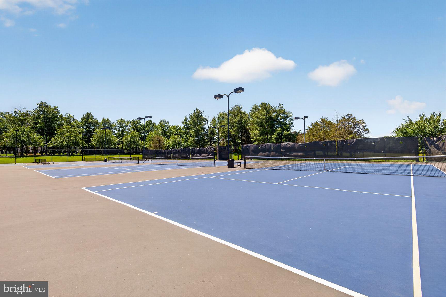 REGENCY AT DOMINION VALLEY - Residential