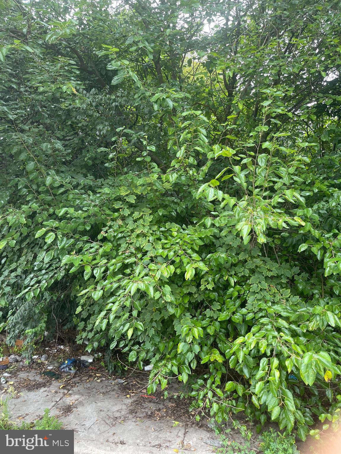Vacant Lot for Sale  RSA5 
The lot at 457 E. Price St is also available and for sale under MLS
