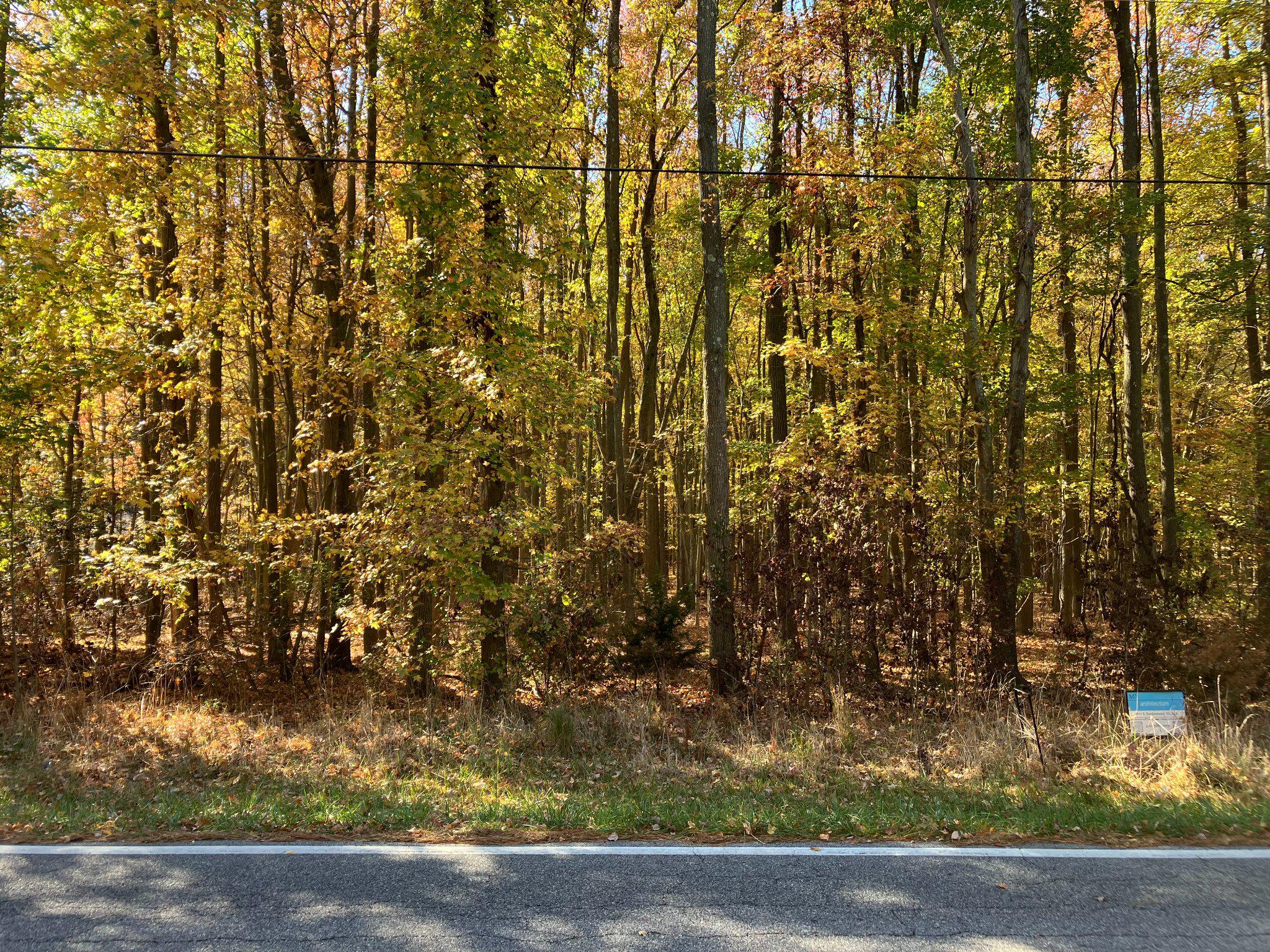This nice wooded lot on Crosby Rd is 0.2 mile to Long Cove Marina and Long Cove County Landing.  Rock Hall Yacht Club is just up the road on McKinleyville Rd. With 142 ft of road frontage and a wooded buffer, there's lots of privacy and room to roam. Included in the price is a 2-hour consult with a licensed architect to design your dream home. The property is near navigable water, but not in the flood plain. Winter water views are possible. There's a public sewer allocation and hook up is available. Well water is needed.  There is a recorded plat and the uplands of the lot was previously delineated.