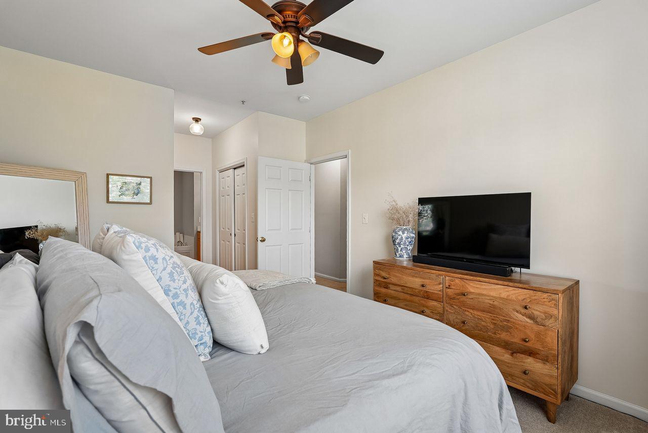 THE RIDGES @ BELMONT COUNTRY CLUB - Residential