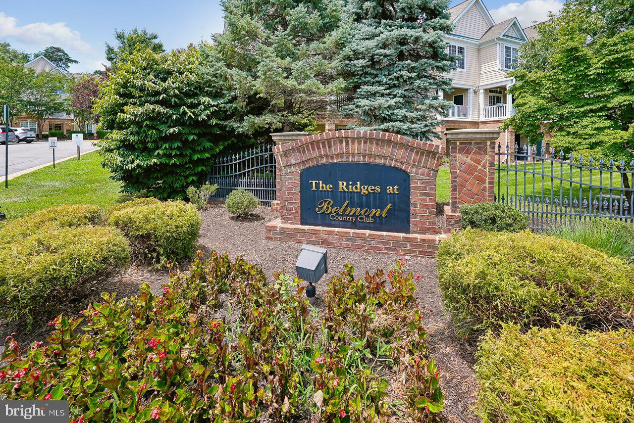 THE RIDGES @ BELMONT COUNTRY CLUB - Residential