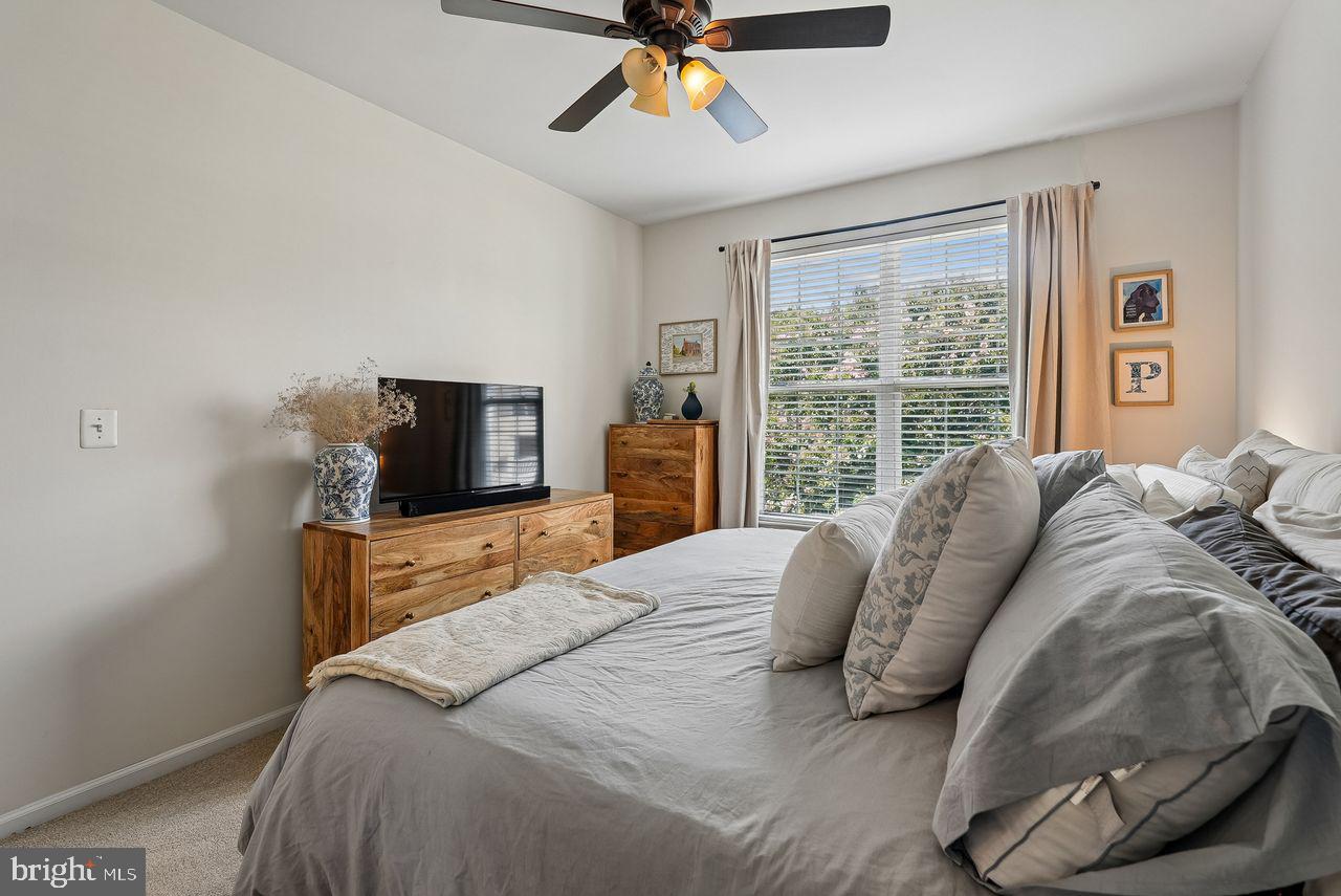 THE RIDGES @ BELMONT COUNTRY CLUB - Residential