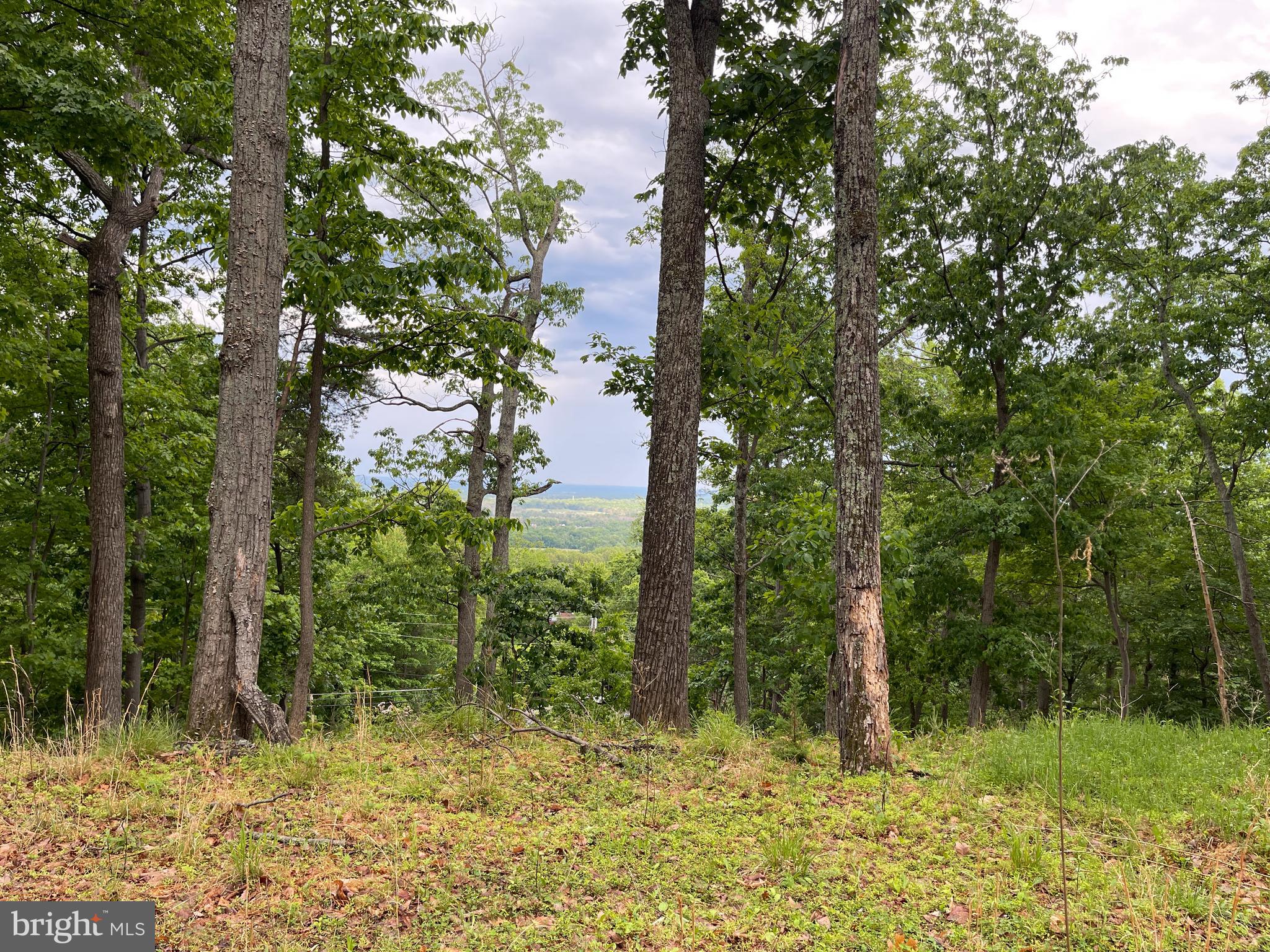 BULL RUN MOUNTAIN - Land