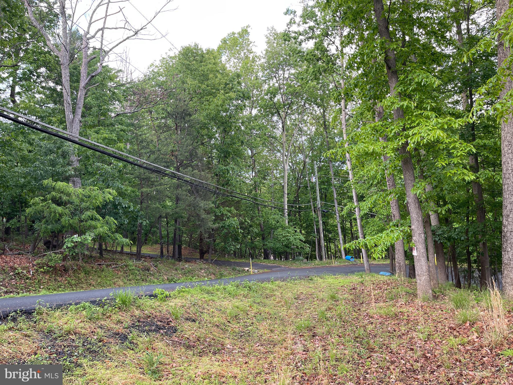 BULL RUN MOUNTAIN - Land