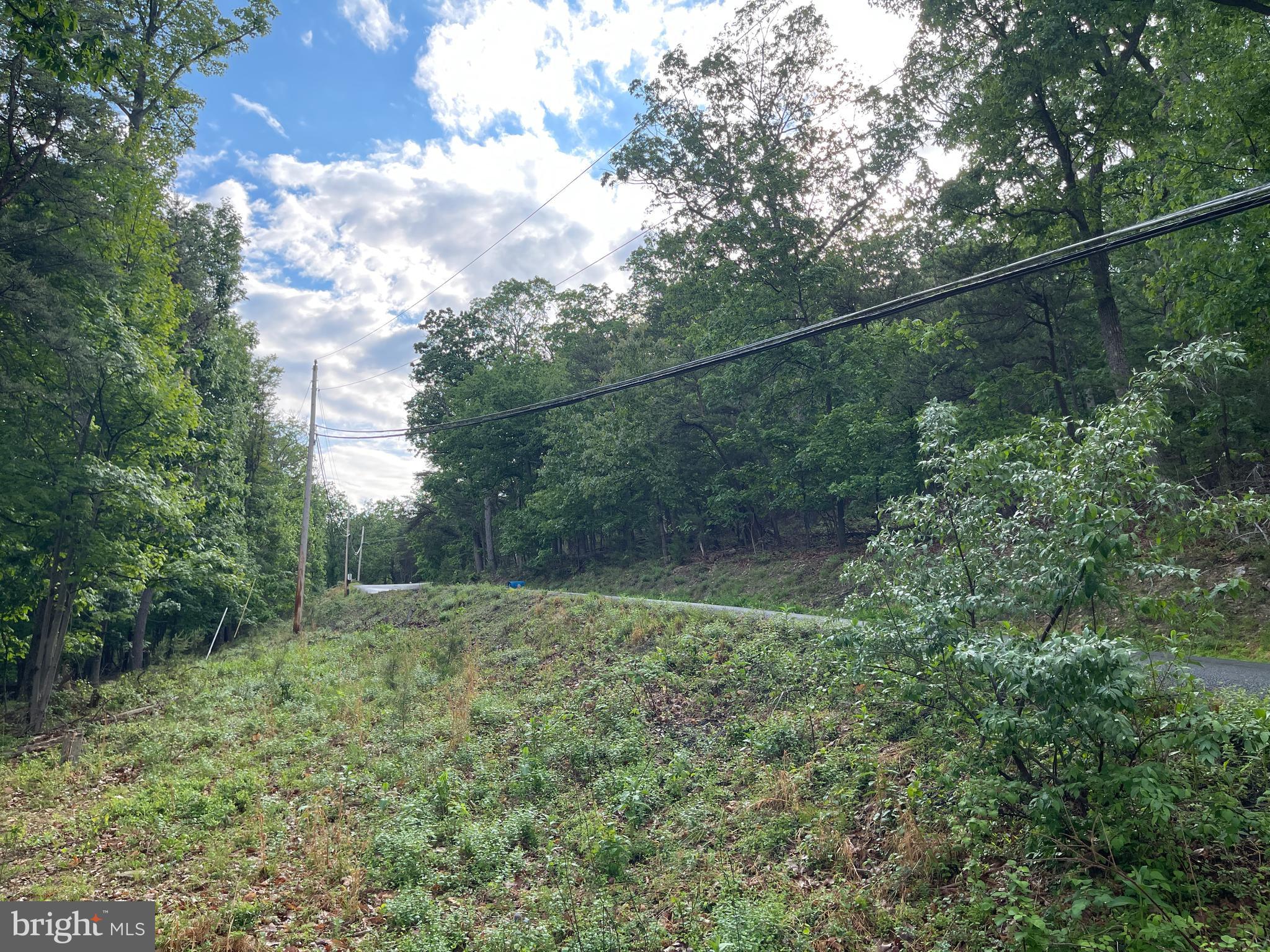 BULL RUN MOUNTAIN - Land