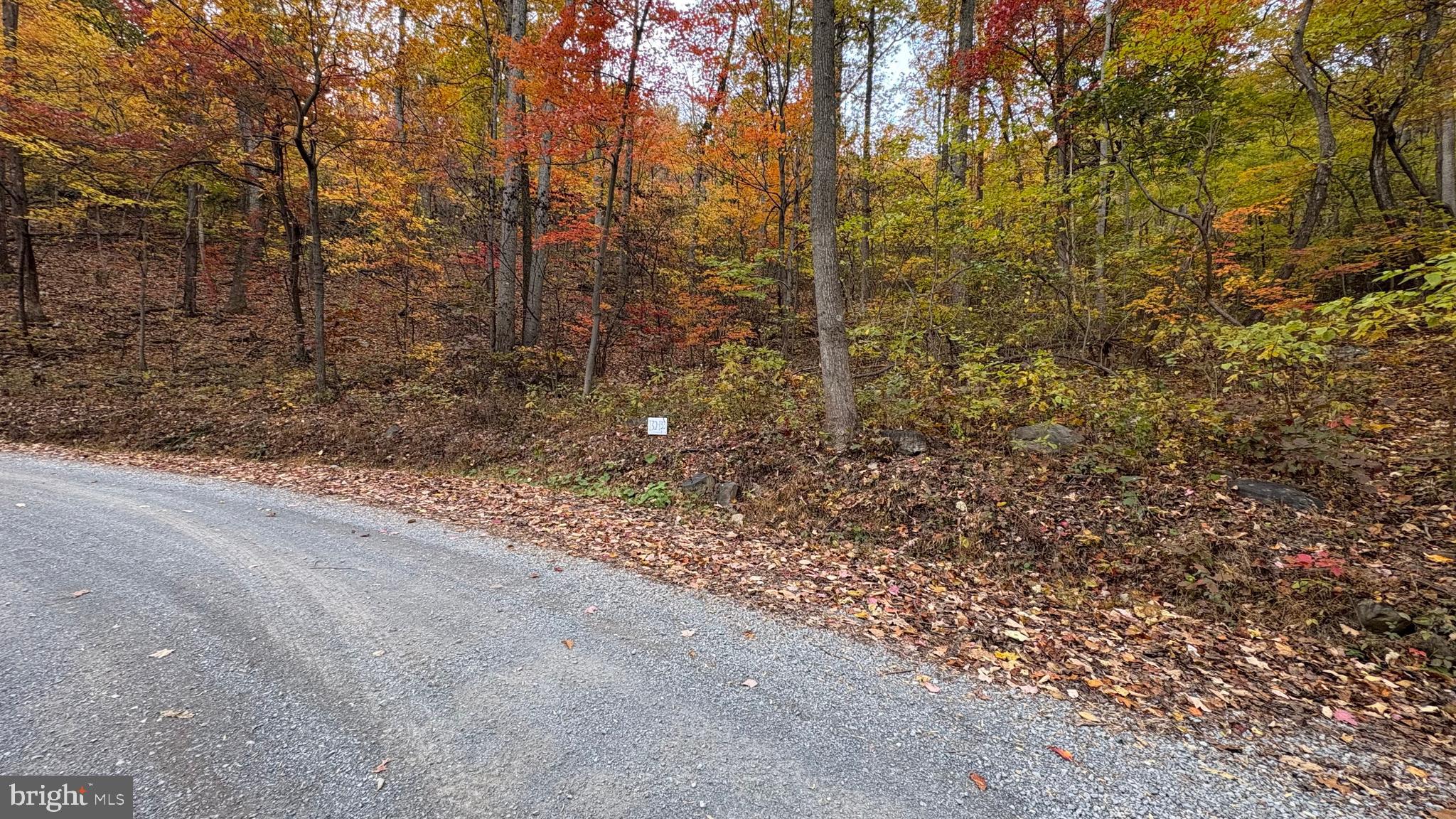 Welcome to Shawneeland, Lot 133 .49 acres, potential building lot. for Full, Part time or just recreational use. This Mountain community has gorgeous views coming & going. Enjoy the amenities, Lake Cherokee, sandy beach area, boat (no gas) canoe, kayak, fishing. Main Recreational park area, picnic pavilion, playground area, 2 fishing ponds, golf pads, baseball diamond, stream & lots of space, another smaller, recreational park & playground area near Aspen Trail, as well as Swan Lake on Tecumseh Trail. Roads Maintained/Snow plowed. Sanitary District Fee $195 annually is included in Real Estate Tax Bill. Rural and secluded, yet still close to Schools, Shopping, Hospital, Rt 50, Rt 37, I81.  Adjoining Lot 132 also for sale VAFV2037696.   
Sign with lot numbers on property