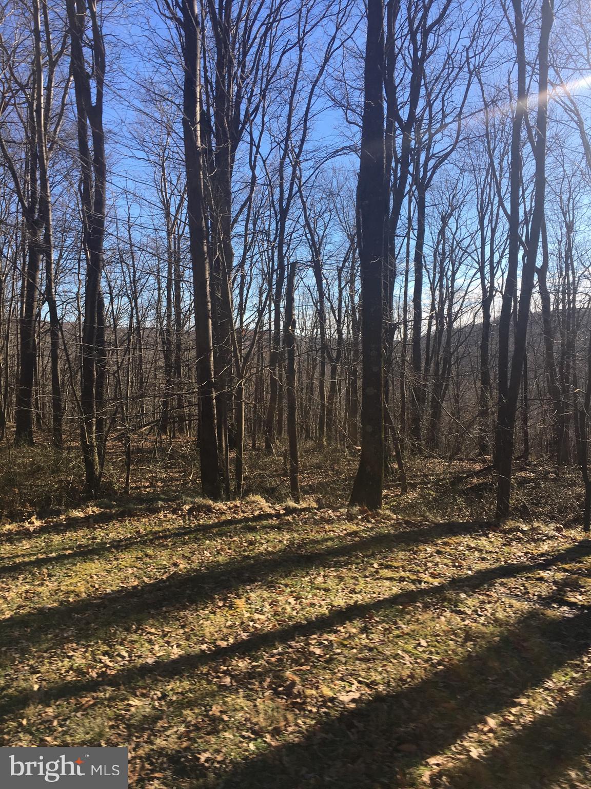 This is raw land at the top of the hill facing Deep Creek Lake...  Deed 18-035022   46 of an acre   Lot 284... Owner has two others on the street.... Lots 290-274....