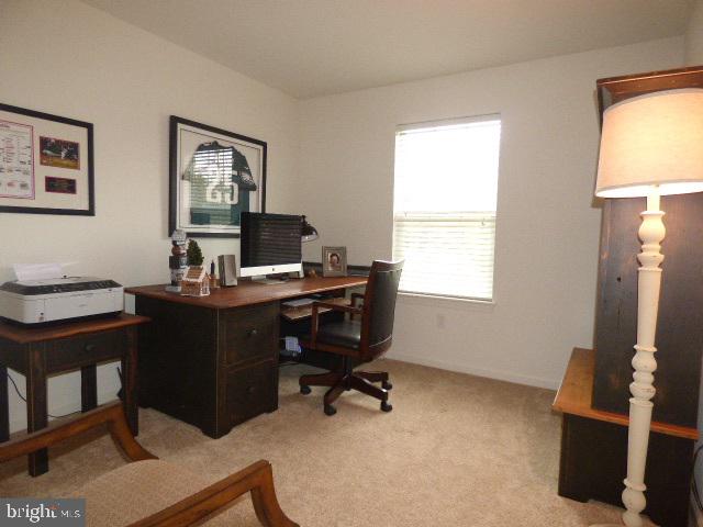 LOCUST RUN - Residential