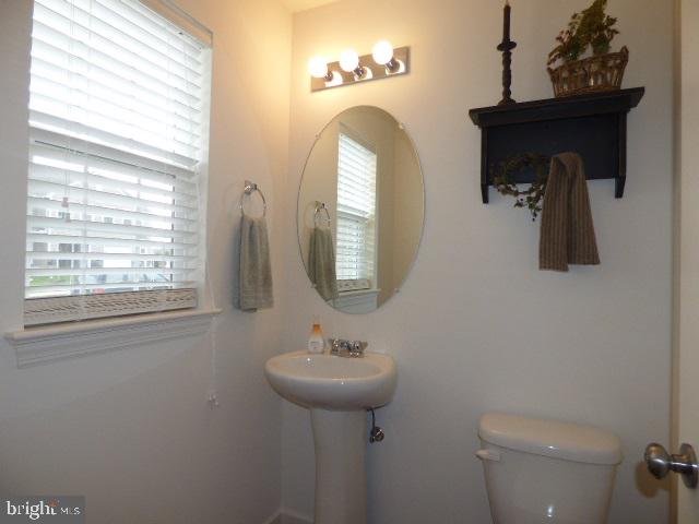 LOCUST RUN - Residential