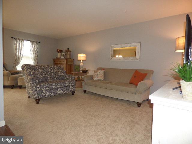 LOCUST RUN - Residential