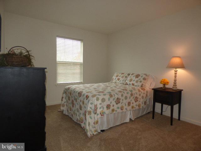 LOCUST RUN - Residential
