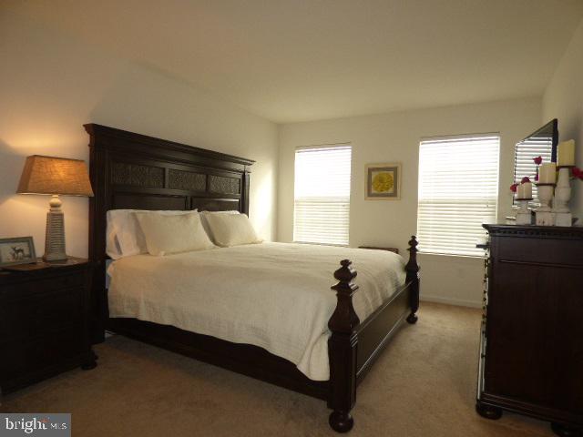 LOCUST RUN - Residential