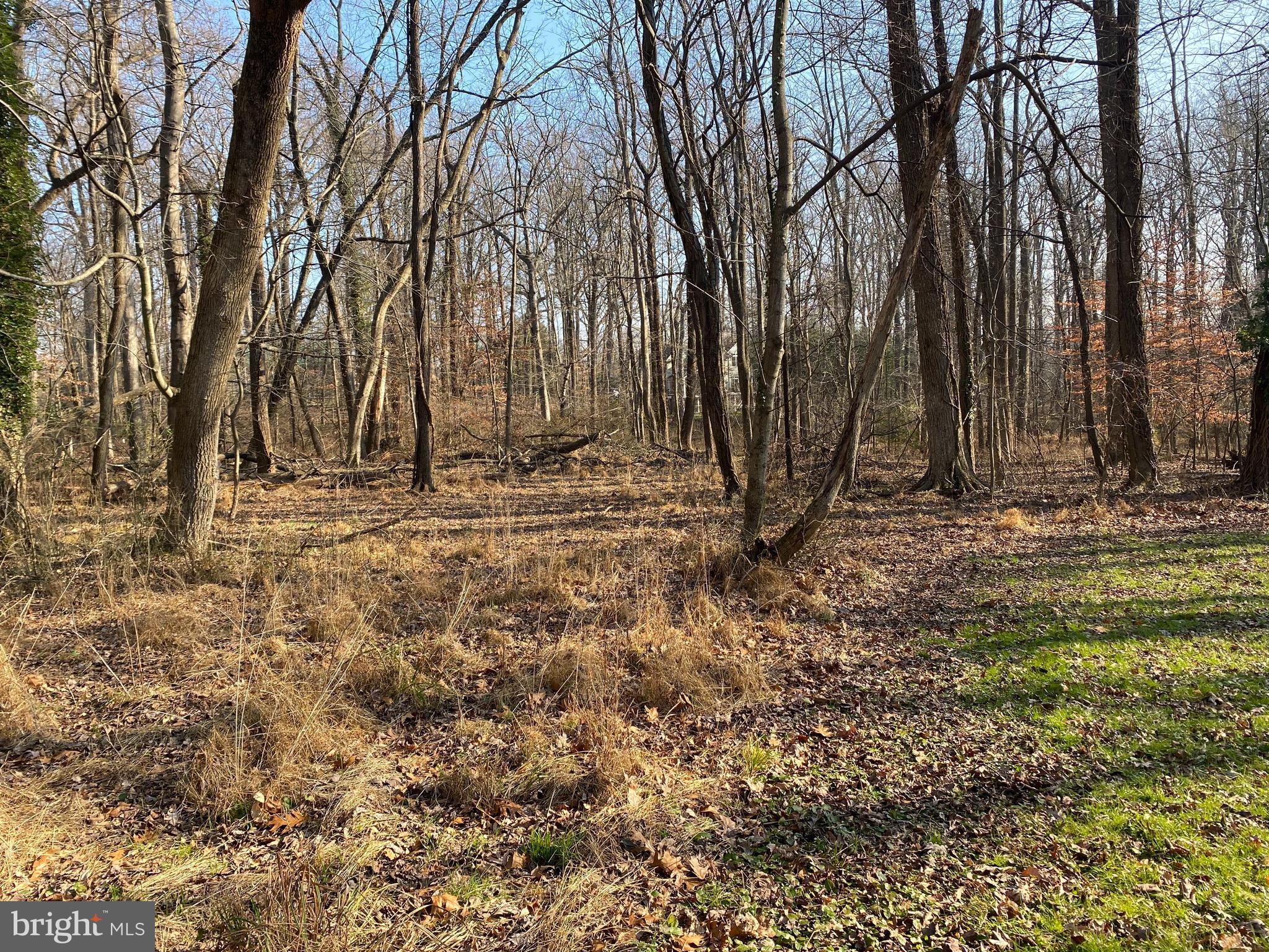 SANDY SPRING - Residential