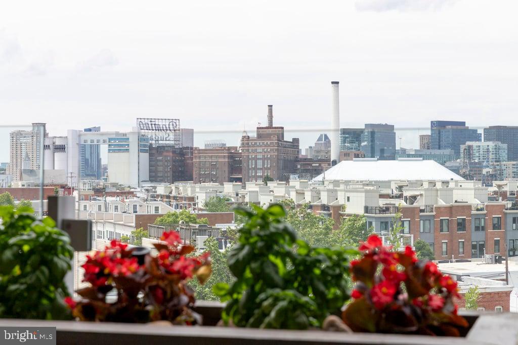 LOCUST POINT - Residential