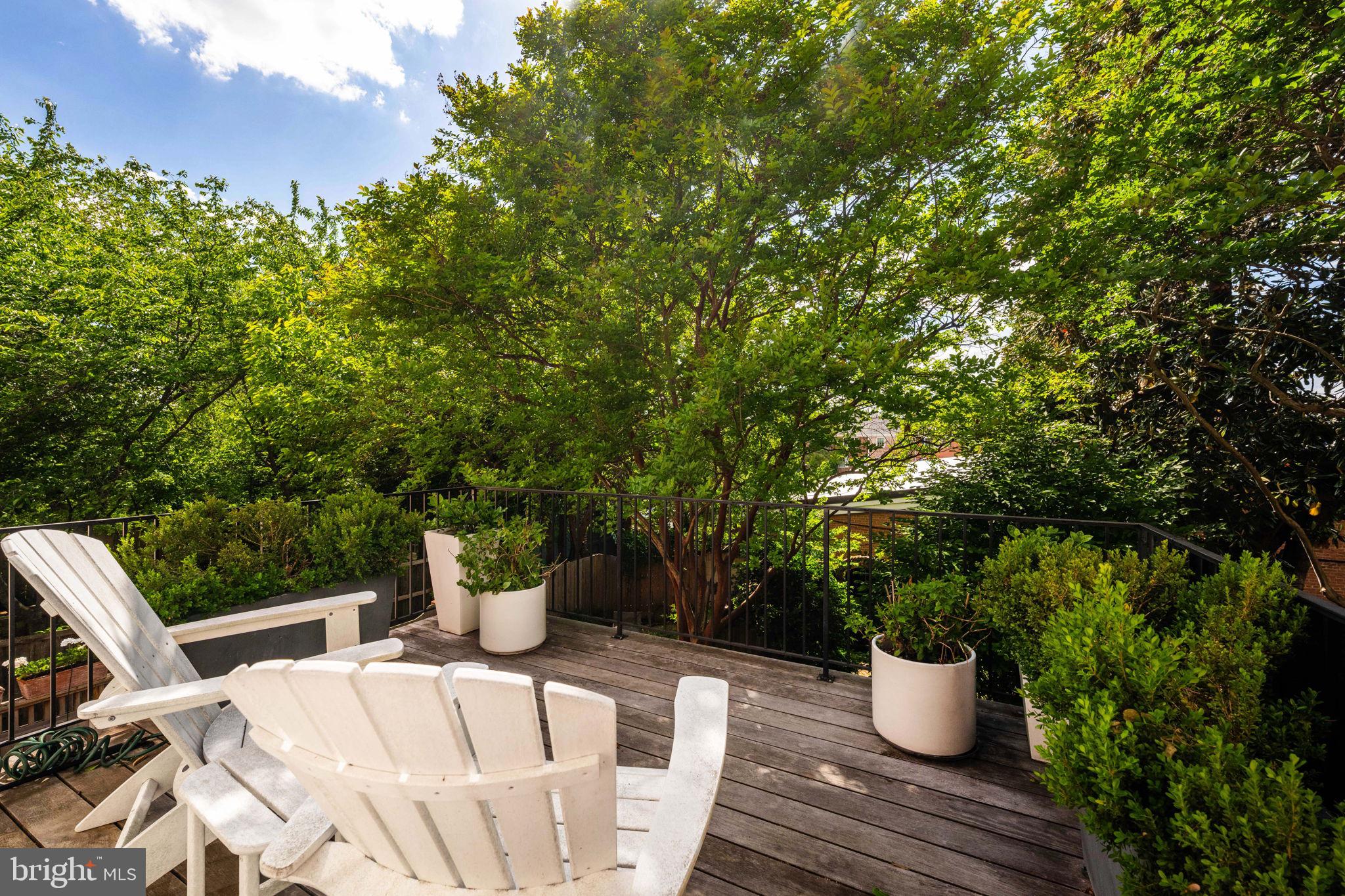OLD TOWN ALEXANDRIA - Residential
