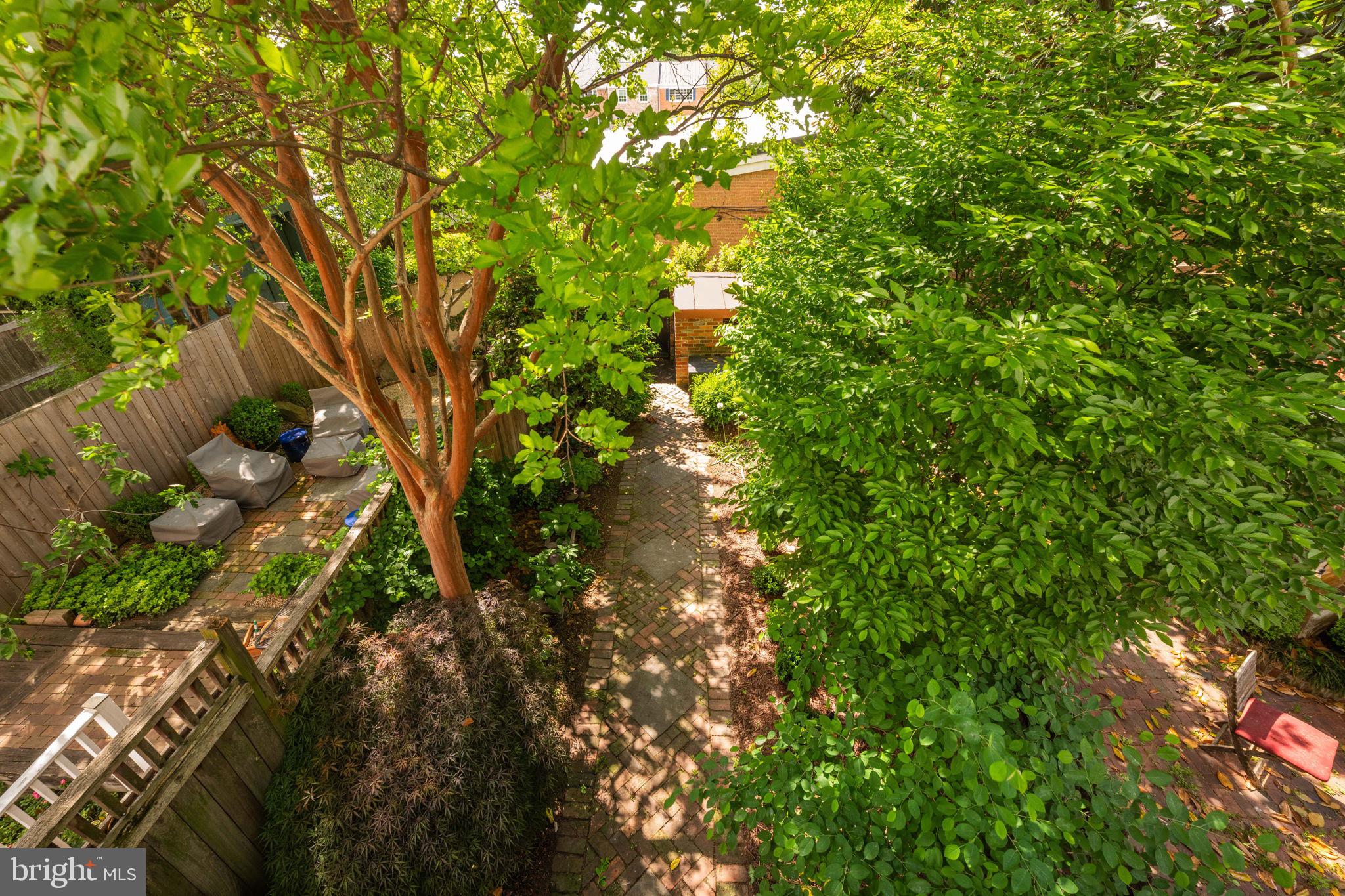 OLD TOWN ALEXANDRIA - Residential