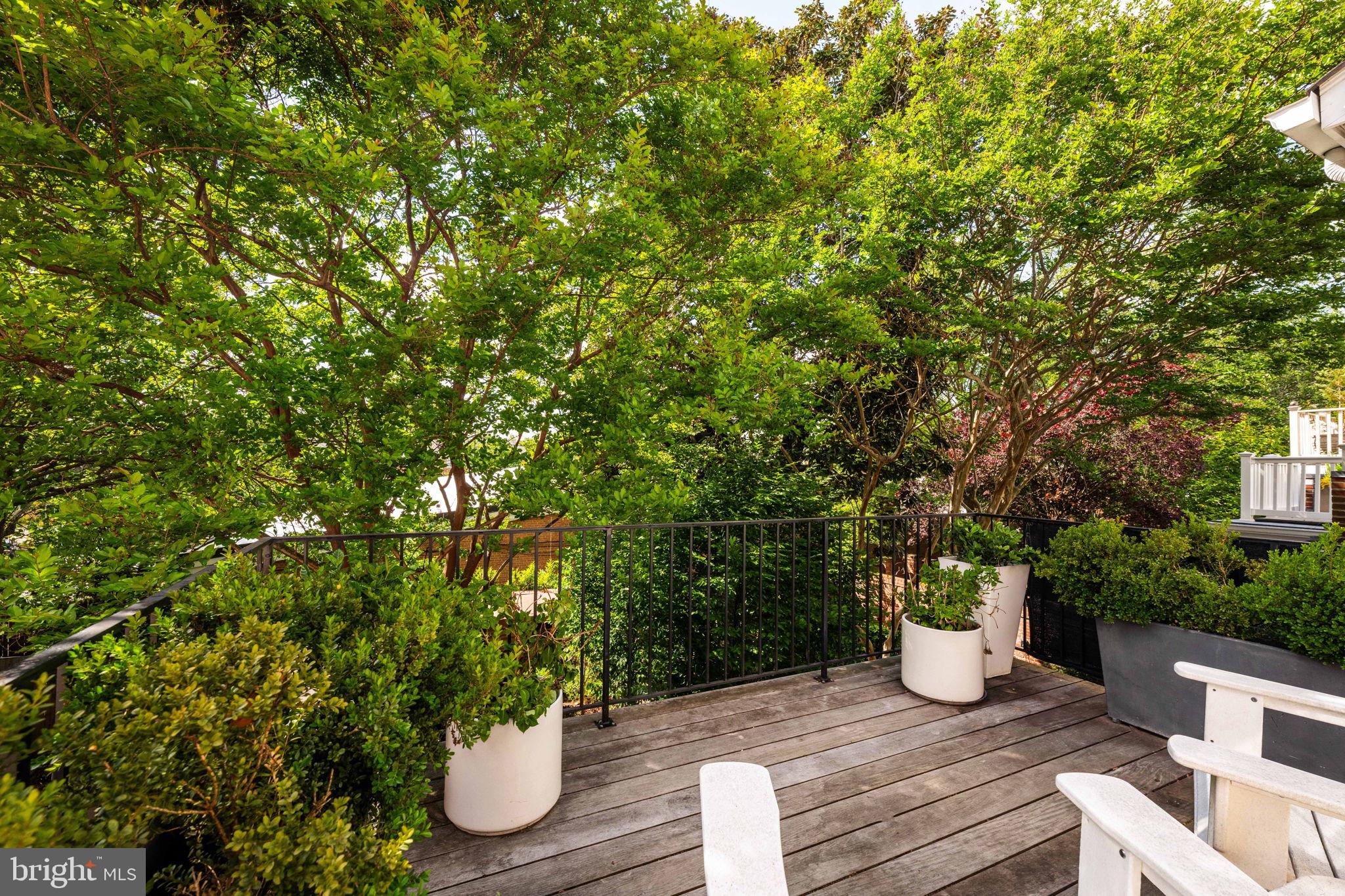 OLD TOWN ALEXANDRIA - Residential