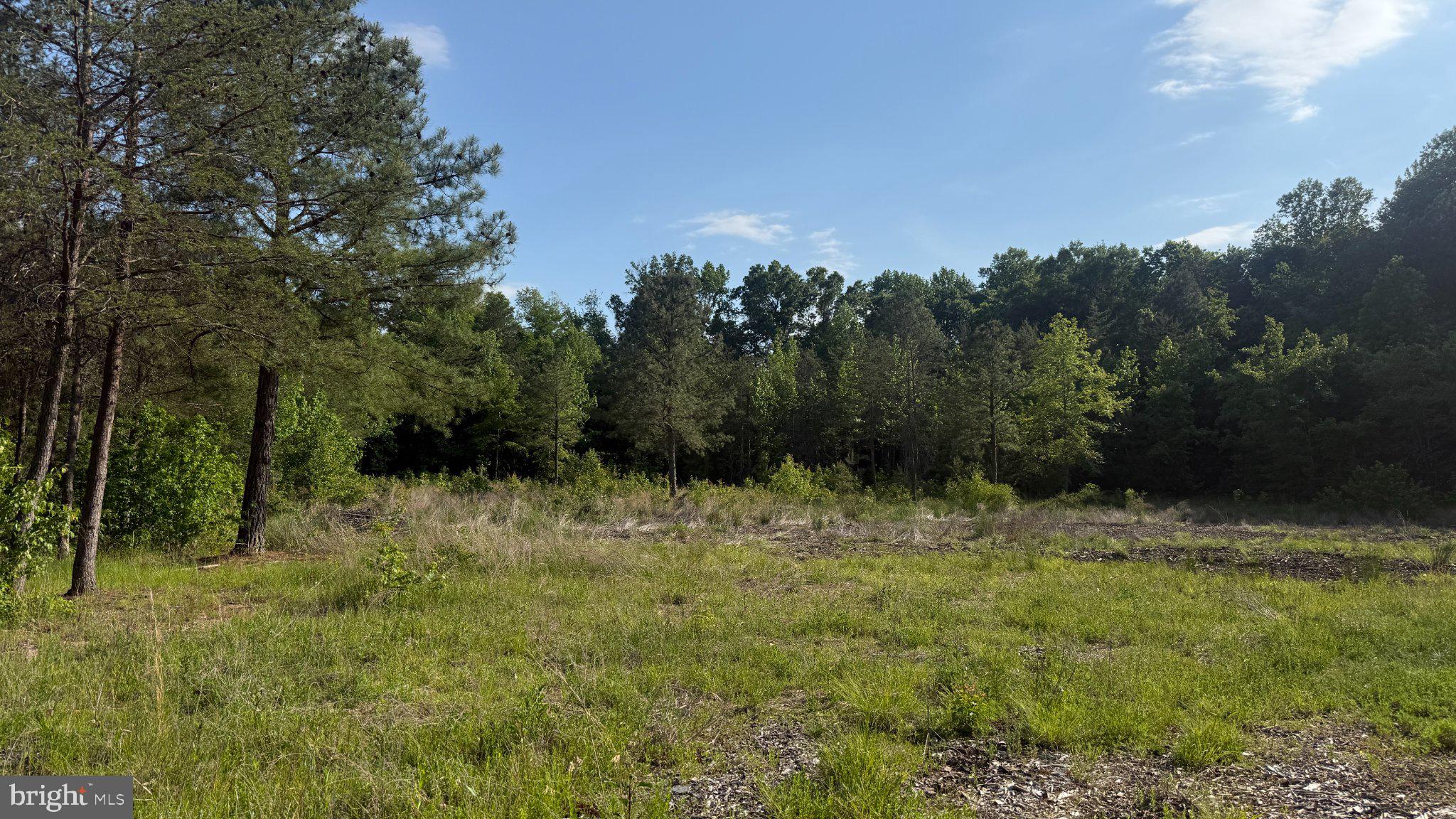 Discover the possibilities with this approximately 24-acre parcel at 1377 Meyers Station Road. Offering a unique blend of open and wooded land, this property features a partially cleared area ideal for a future homesite or recreational use, while the remaining acreage provides privacy, mature trees, and a peaceful natural setting. Bordering the Little Patuxent River and located just minutes from the sought-after Two Rivers community, this property presents endless potential for those looking to build, invest, or create a private retreat. Enjoy the convenience of nearby shopping, dining, and commuter routes while embracing the beauty and tranquility of this expansive piece of land. Buyers are encouraged to perform their own due diligence regarding zoning, permitted uses, and development potential.