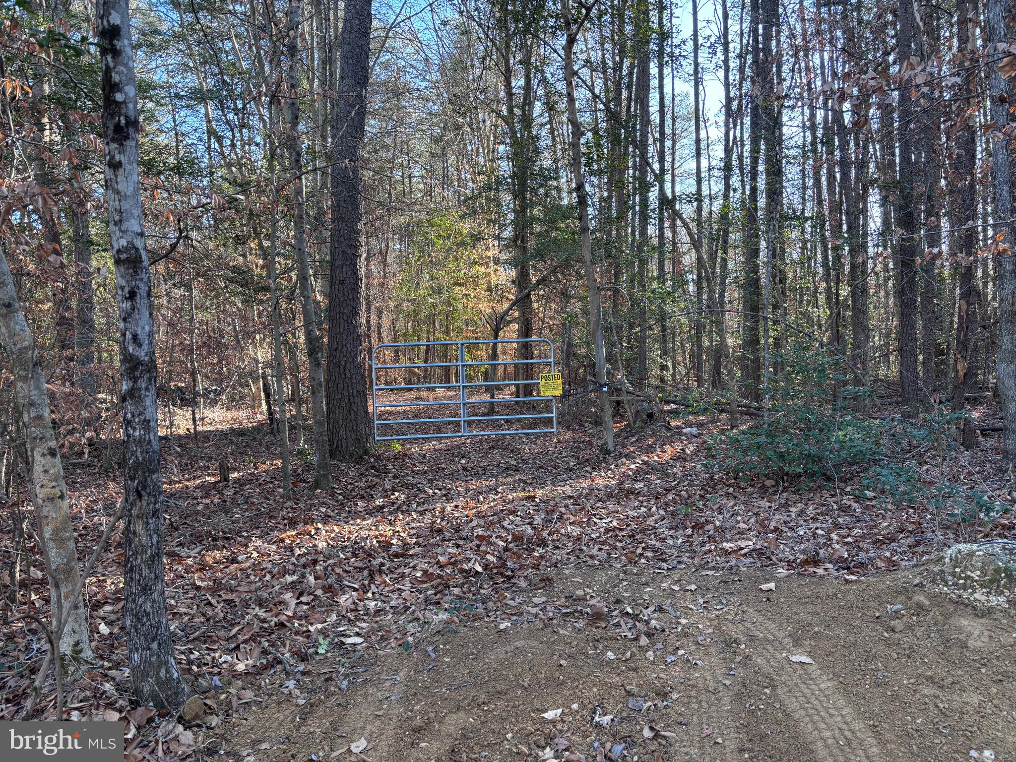 If you are looking for seculsion, peace and quiet without being completely disconnected, then southern Maryland may be for you. This beautiful 10 acres is located in the southern end of Nanjemoy in Charles County, and the many opportunities it can provide is waiting for you. This land is relatively flat, with a slight depression towards the back of the lot. Get that lost feeling on this completely wooded lot, all while knowing you are only minutes from town and all the conveniences you need. There is no perc or well, but several residences close by indicate a good chance to build. This area of Nanjemoy is known for excellent hunting, and with over1,000 acres of Nature Conservancy Land backing to this property, there is sure to be no shortage of wildlife. Excellent location for the nature lover with several parks close by, and the Potomac River where you'll find Mallows Bay, the Potomac River National Marine Sanctuary. If you are wishing to expand your journey,  Va, and Washington, DC are only short drives away. Schedule your private tour today, and see everything southern Maryland has to offer.