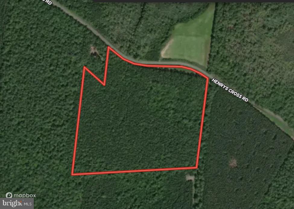 Incredible sika hunting property!