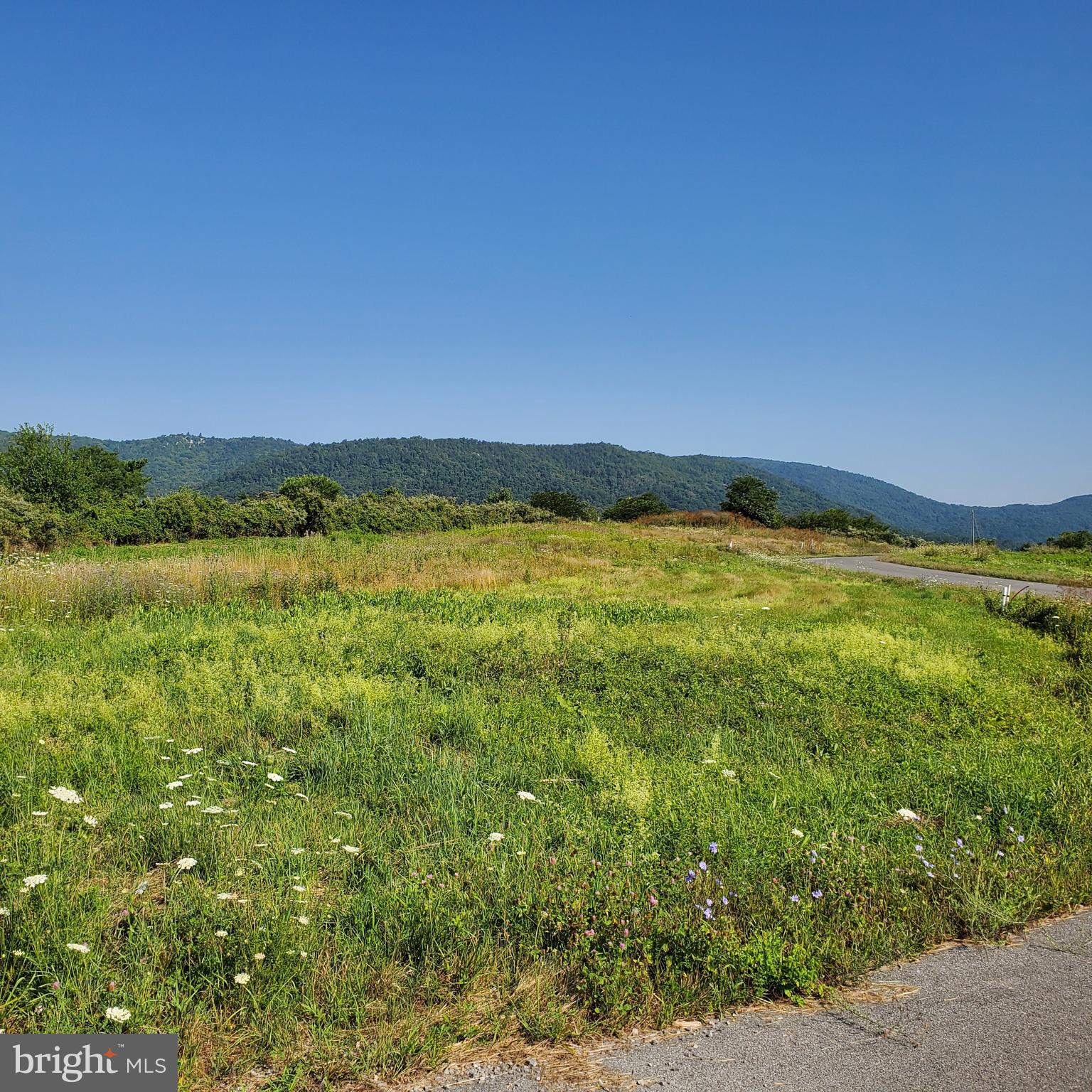 LOUDON'S VIEW - Land