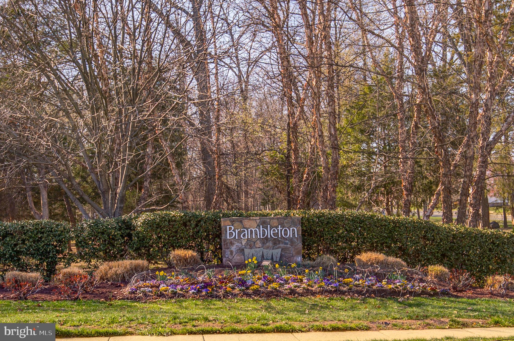 BRAMBLETON BRANDT PROPERTY - Residential
