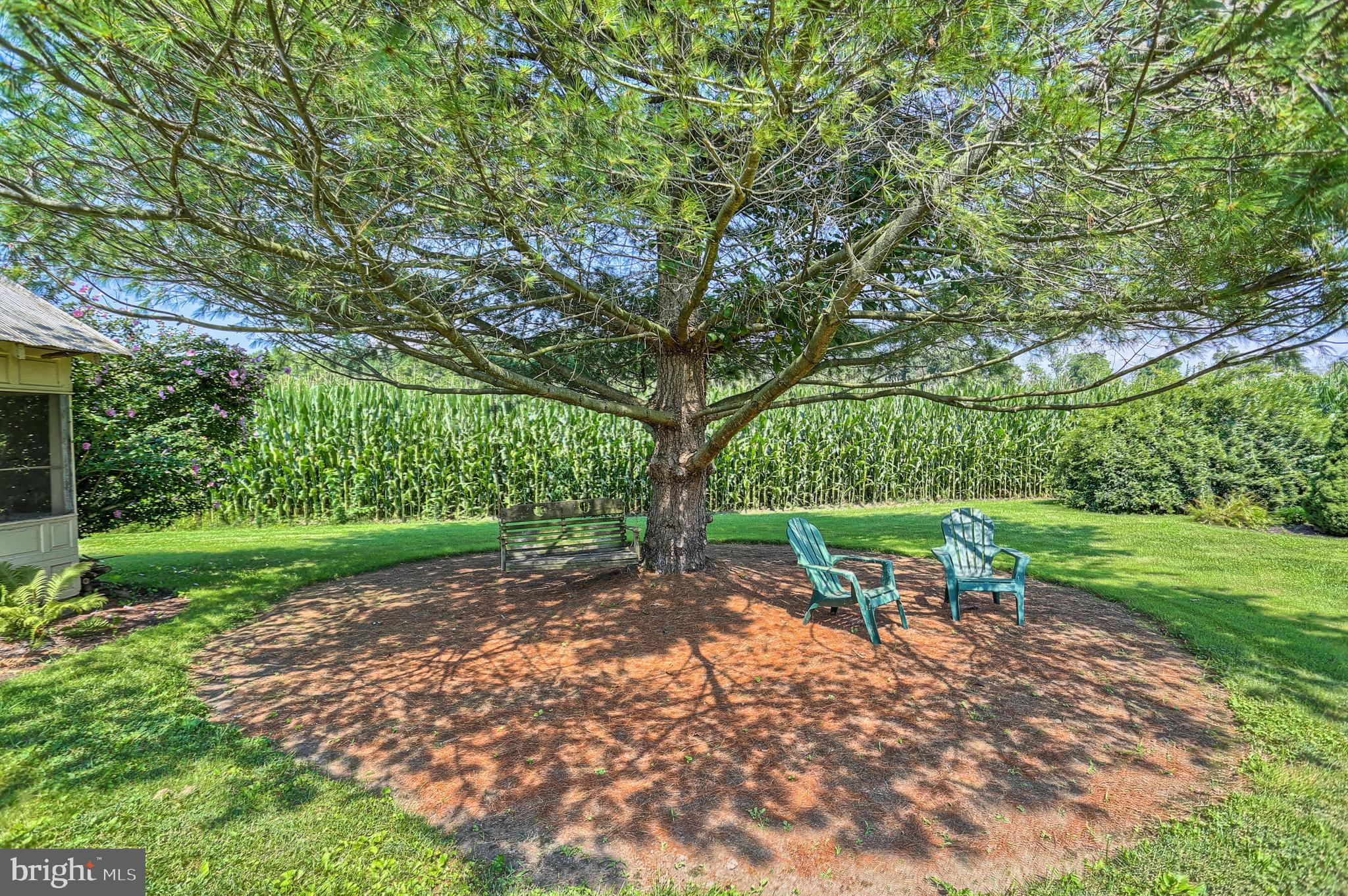 CONEWAGO - Farm